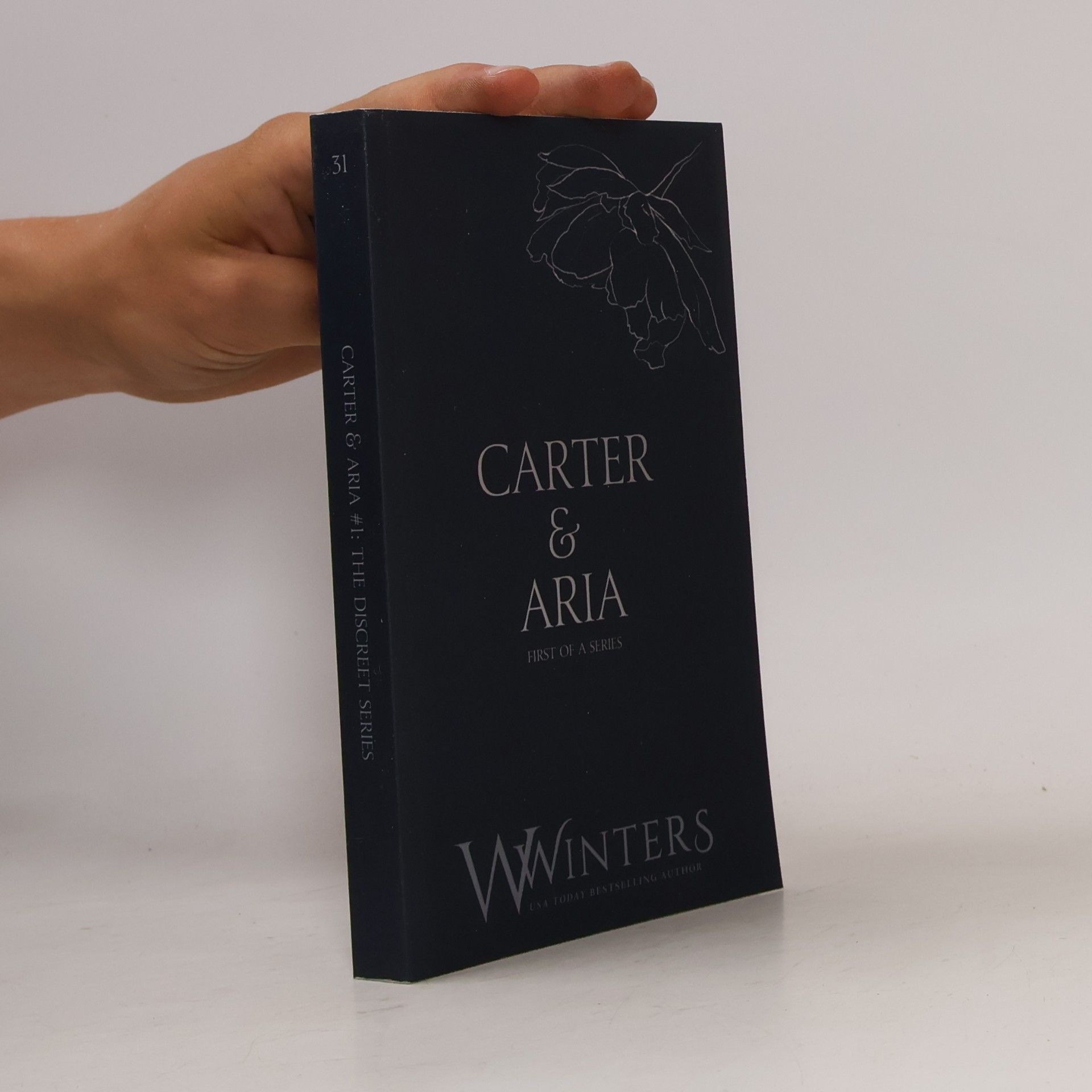 Willow Winters The Discreet Series - 31: Carter & Aria