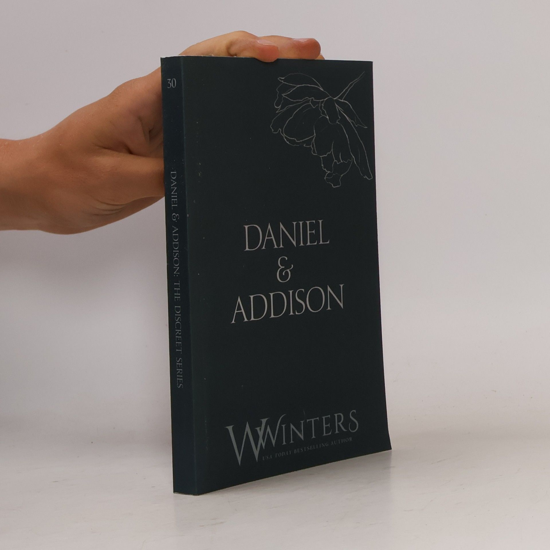 Willow Winters The Discreet Series - 30: Daniel & Addison