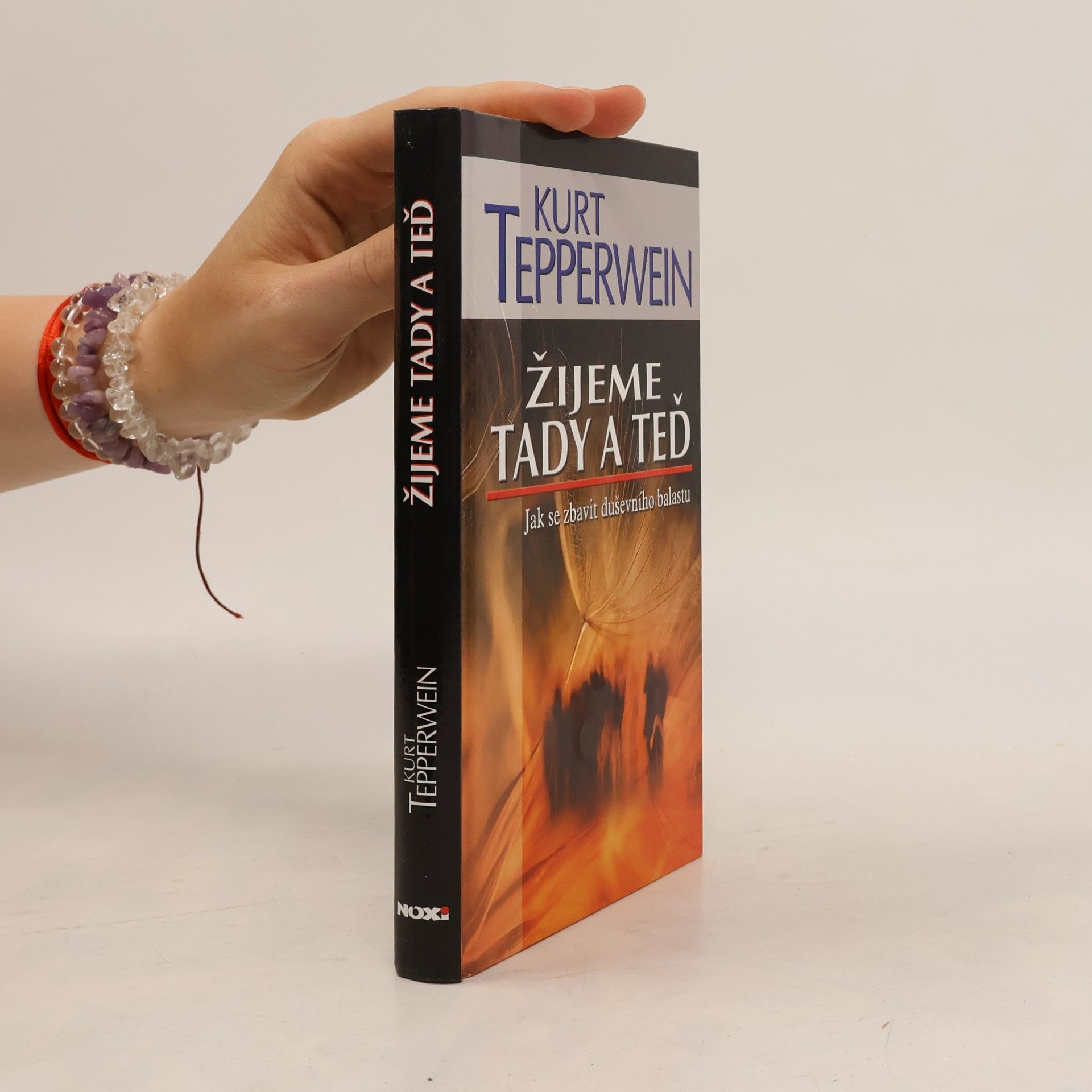 Kurt Tepperwein Žijeme tady a teď : jak se zbavit duševního balastu