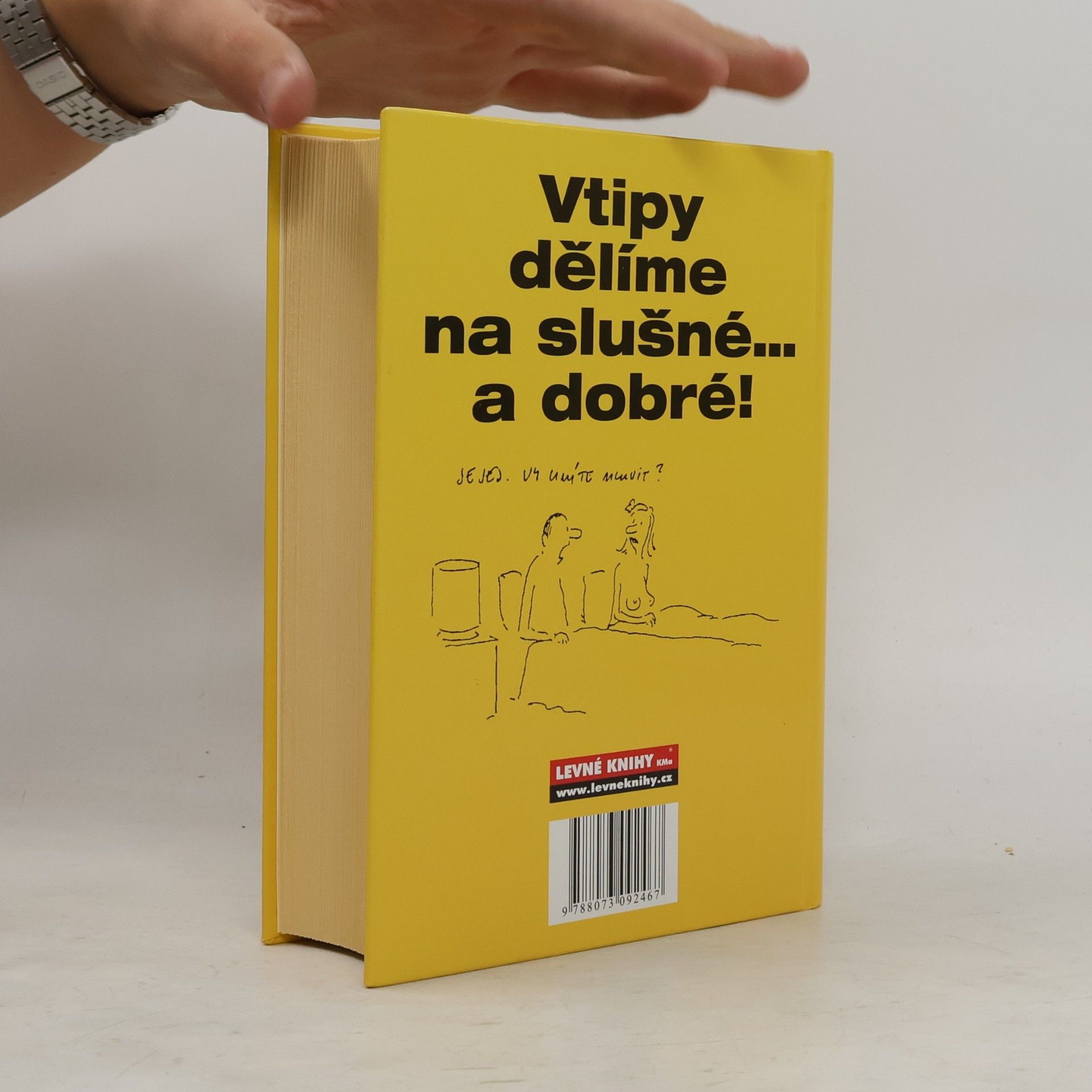 Various authors Špalíček dobrých českých vtipů