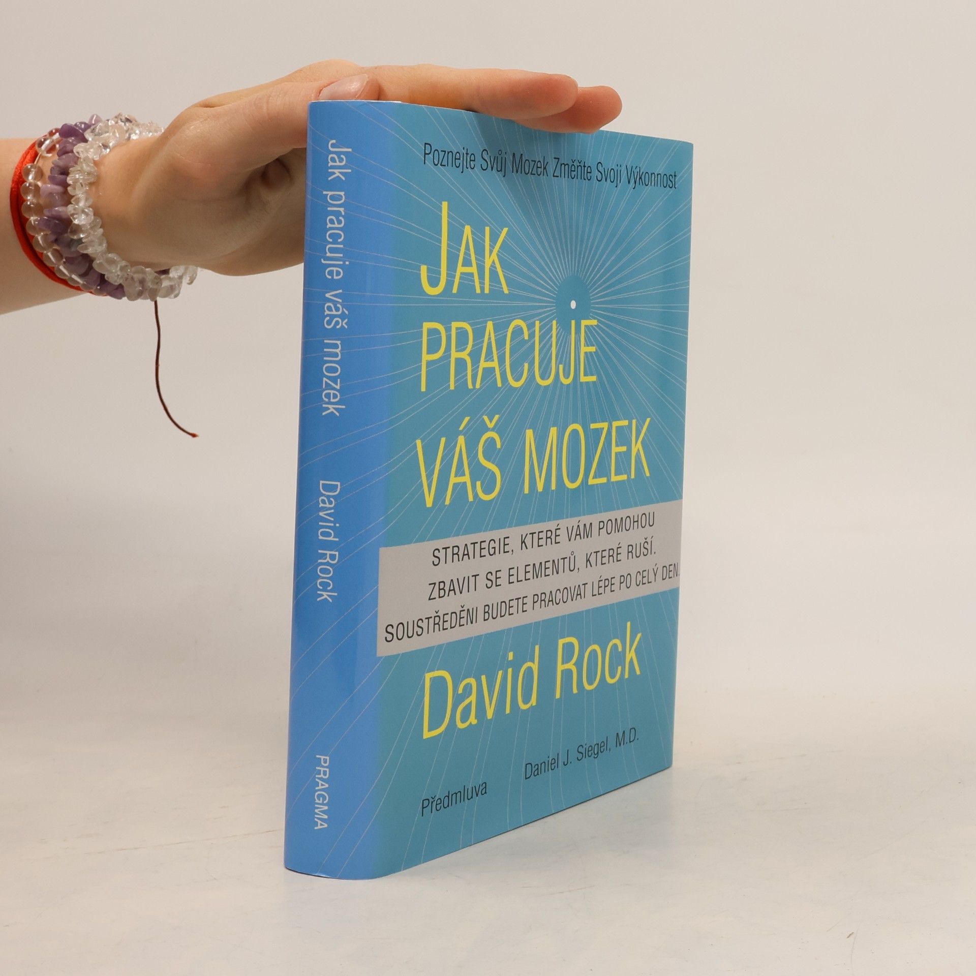 David Rock Jak pracuje váš mozek