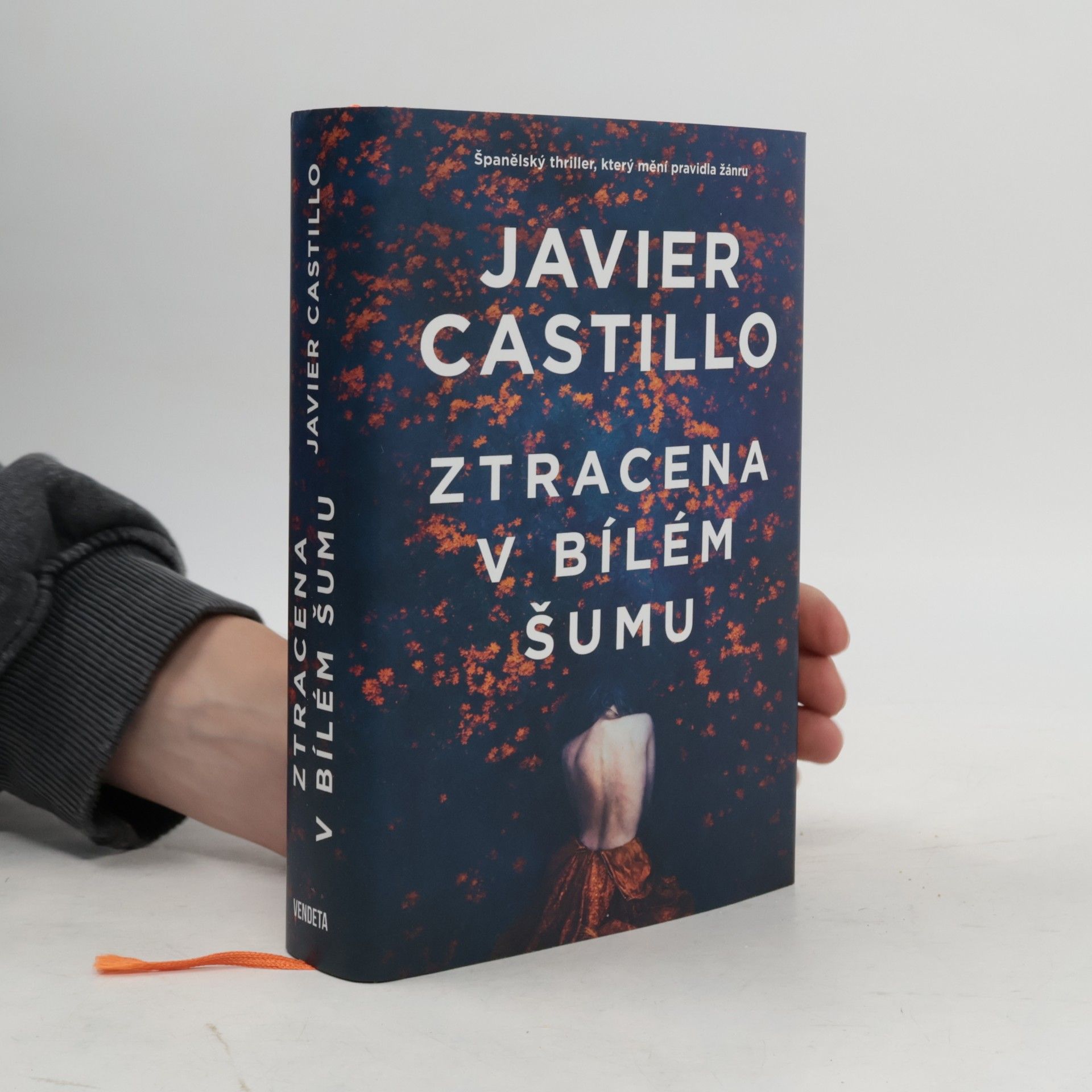 Javier Castillo Ztracena v bílém šumu