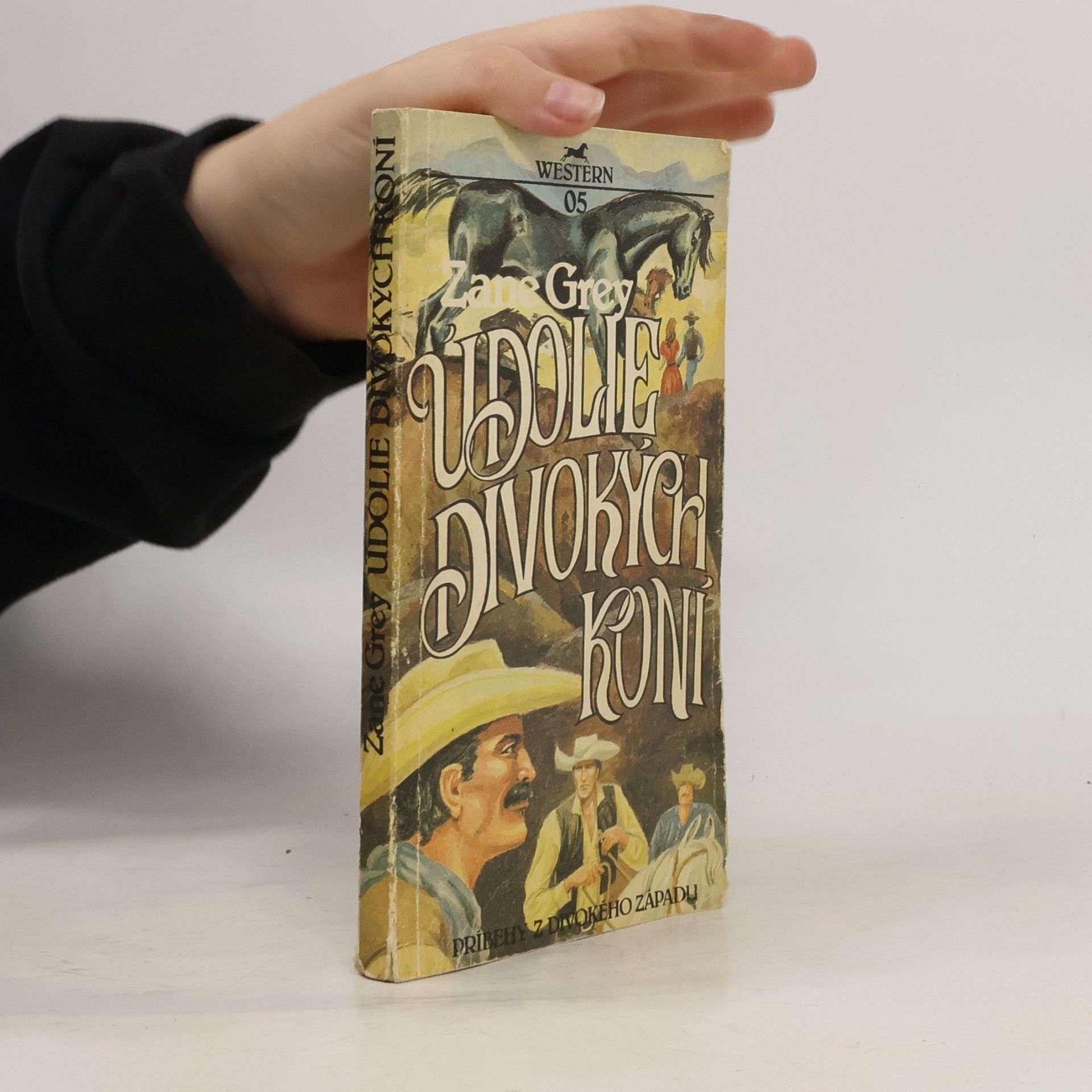 Zane Grey Údolie divokých koní