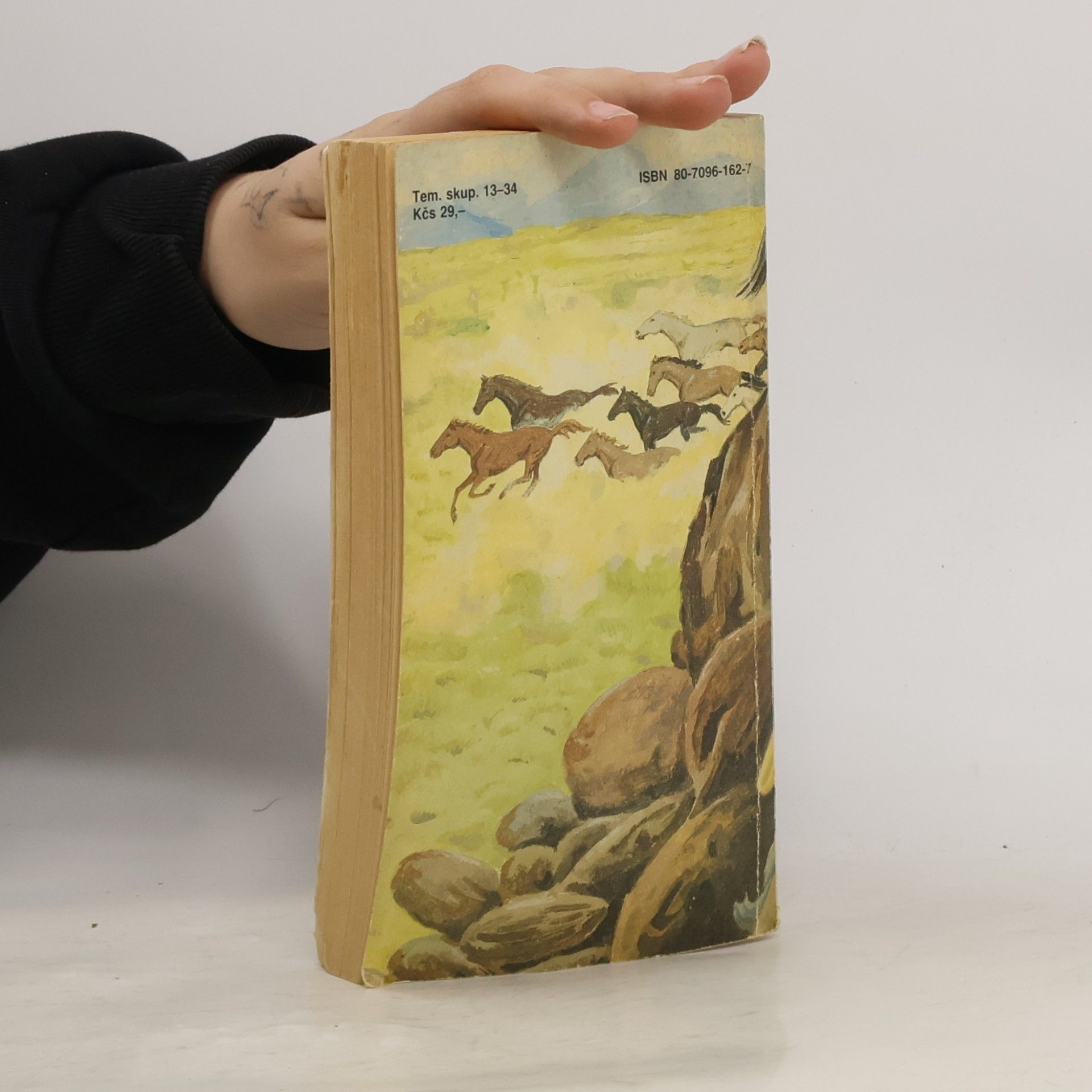 Zane Grey Údolie divokých koní