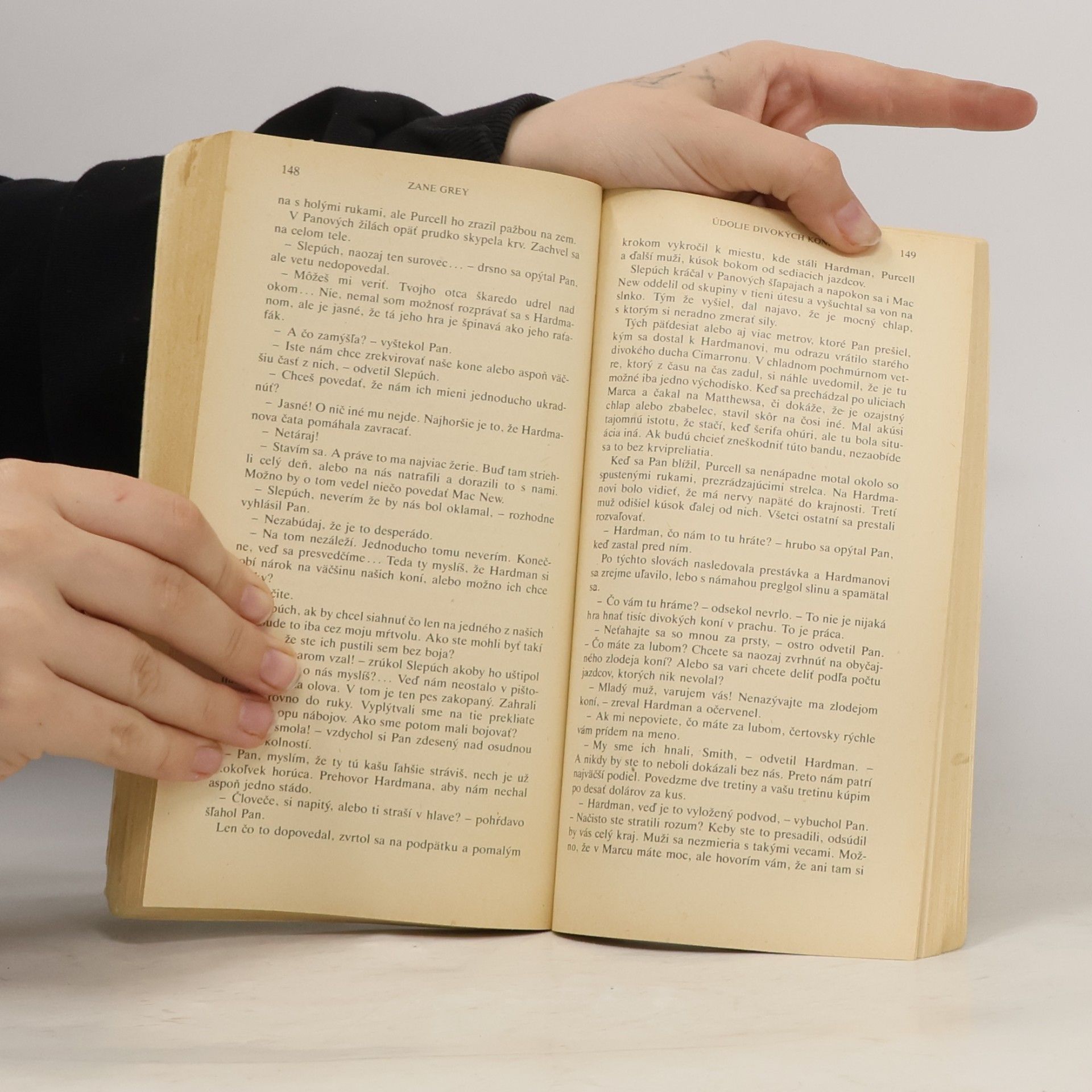 Zane Grey Údolie divokých koní
