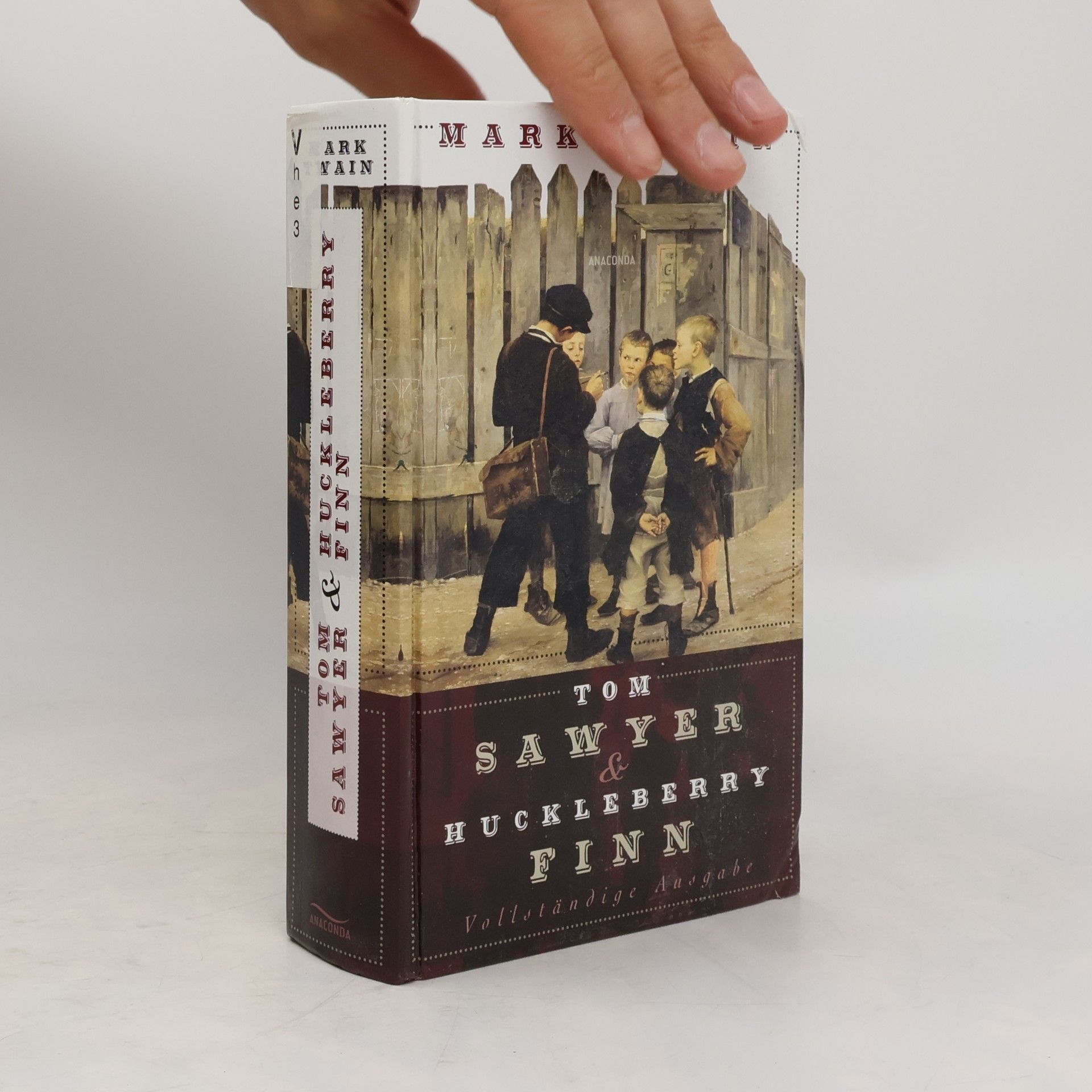 Mark Twain Tom Sawyer und Huckleberry Finn