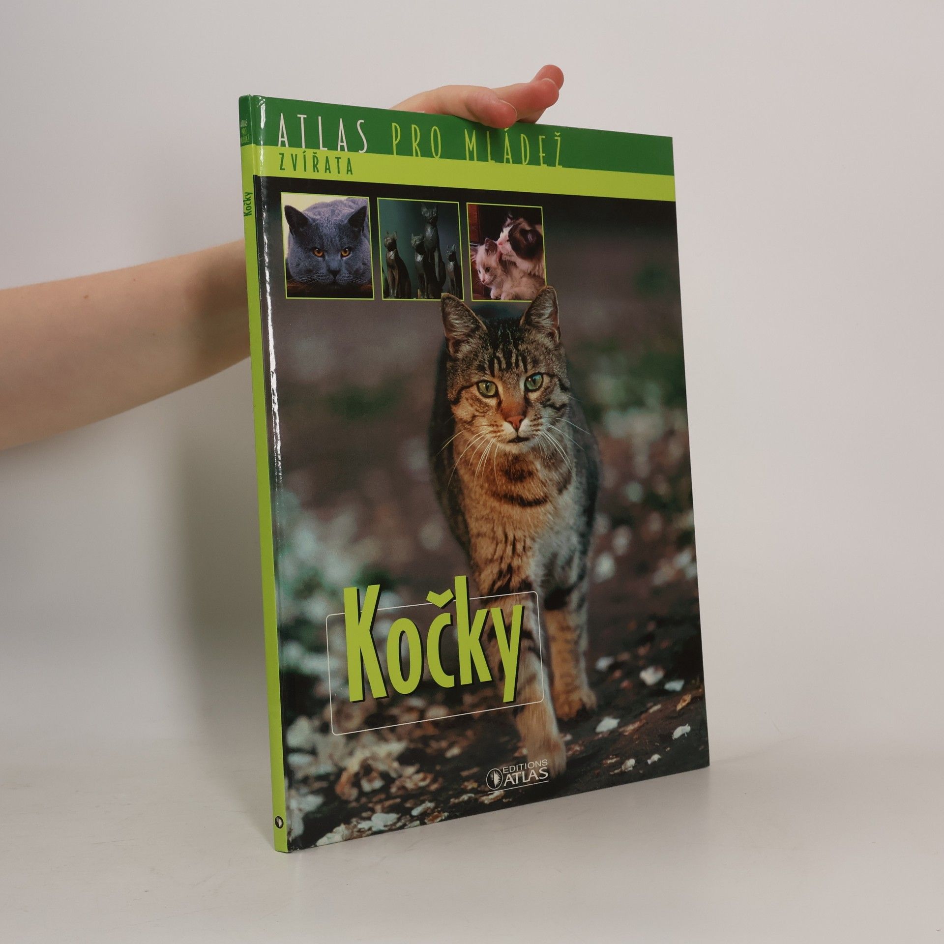 Kolektiv autorů Kočky