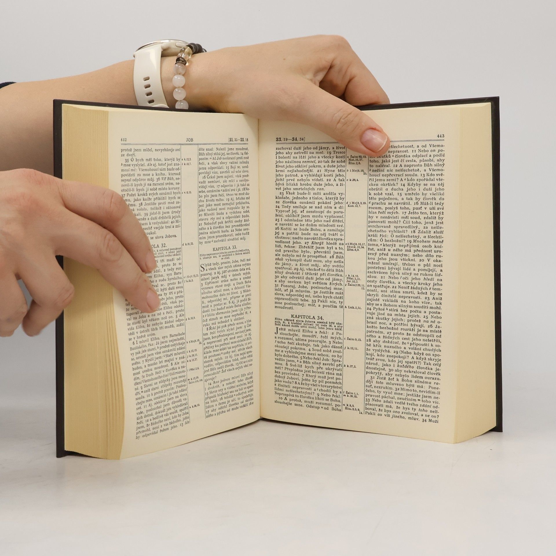 Various authors Bible svatá aneb všecka svatá písma Starého i Nového zákona