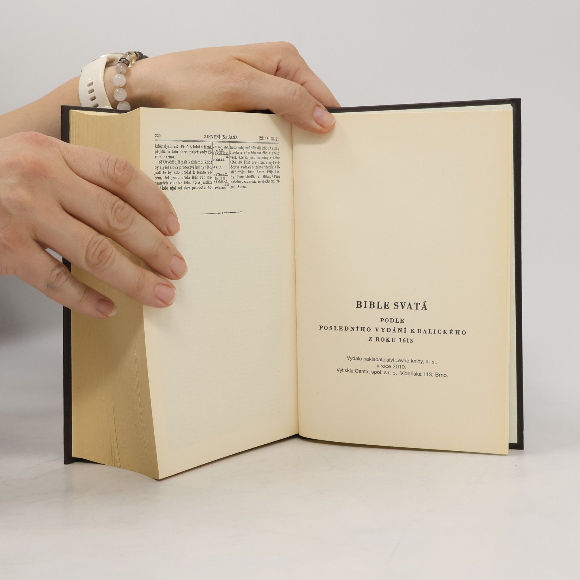 Various authors Bible svatá aneb všecka svatá písma Starého i Nového zákona