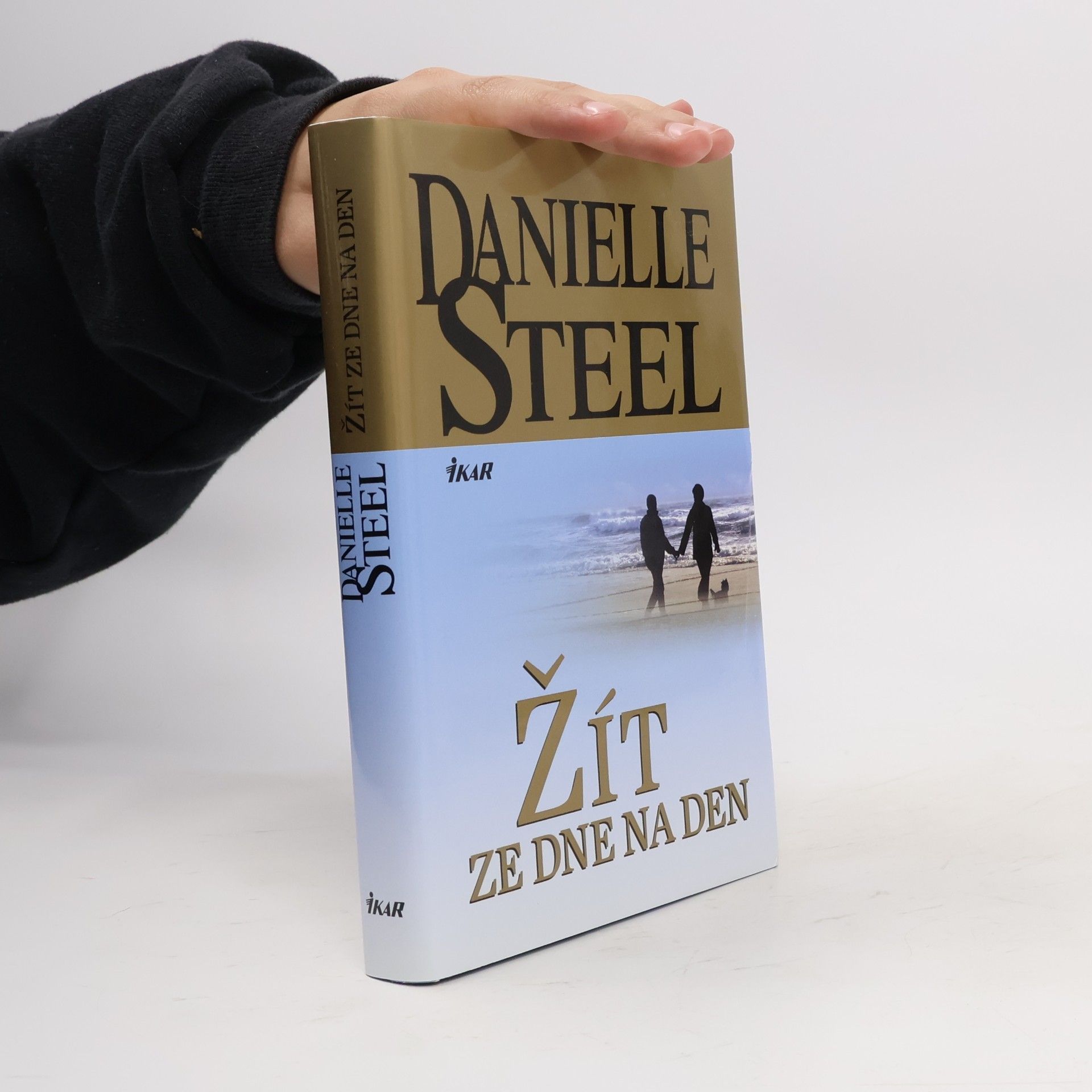 Danielle Steel Žít ze dne na den