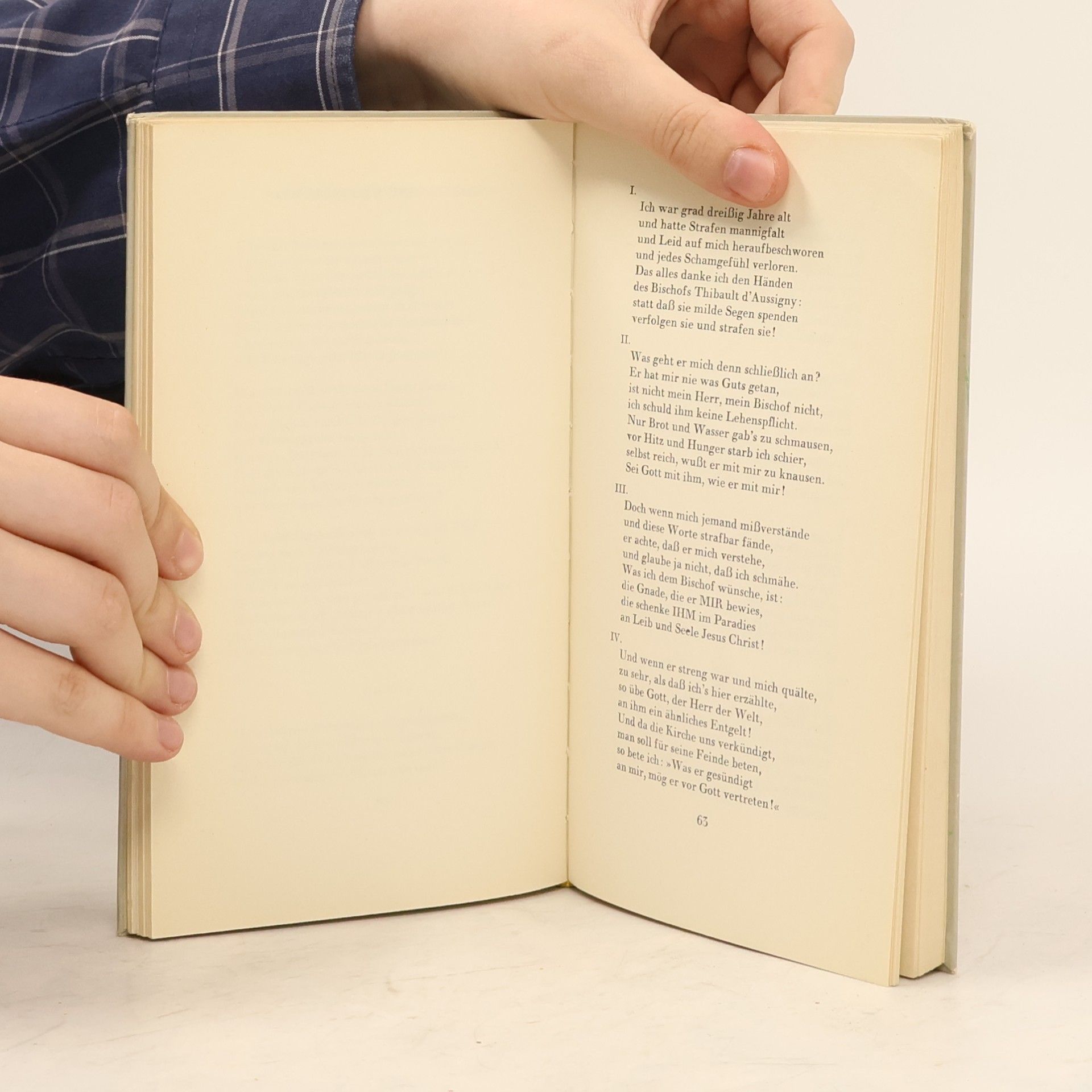 Autorenkollektiv Villon