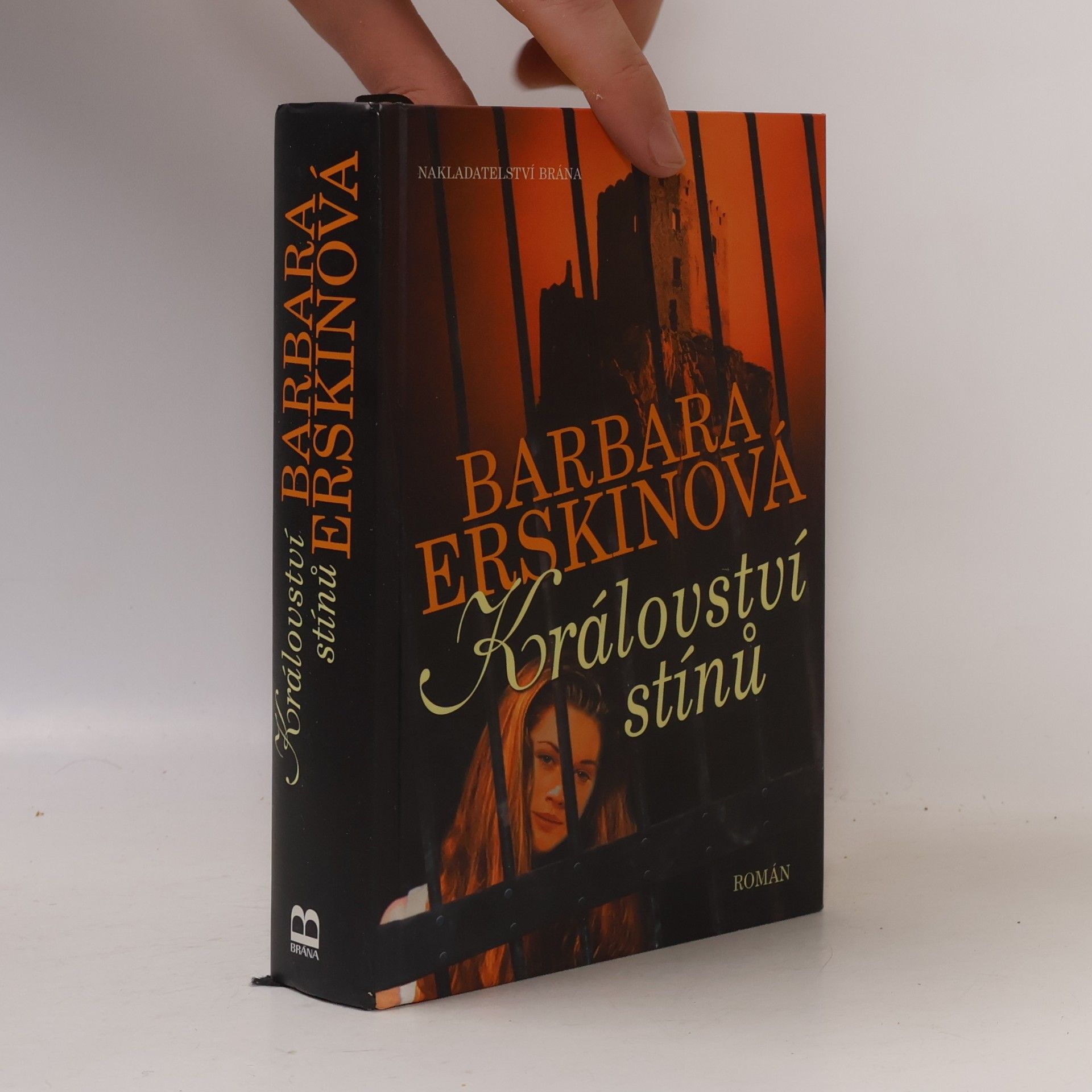 Barbara Erskine Království stínů : román