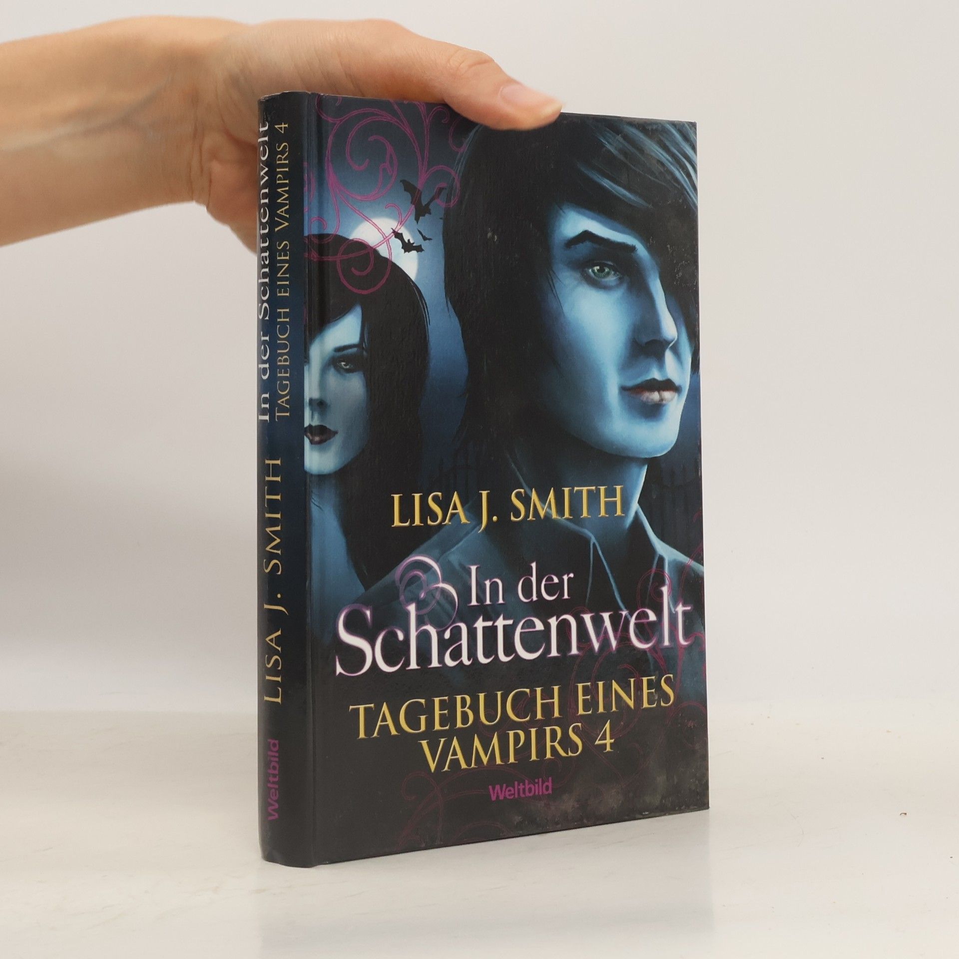 Lisa Jane Smith Tagebuch eines Vampirs 4. In der Schattenwelt