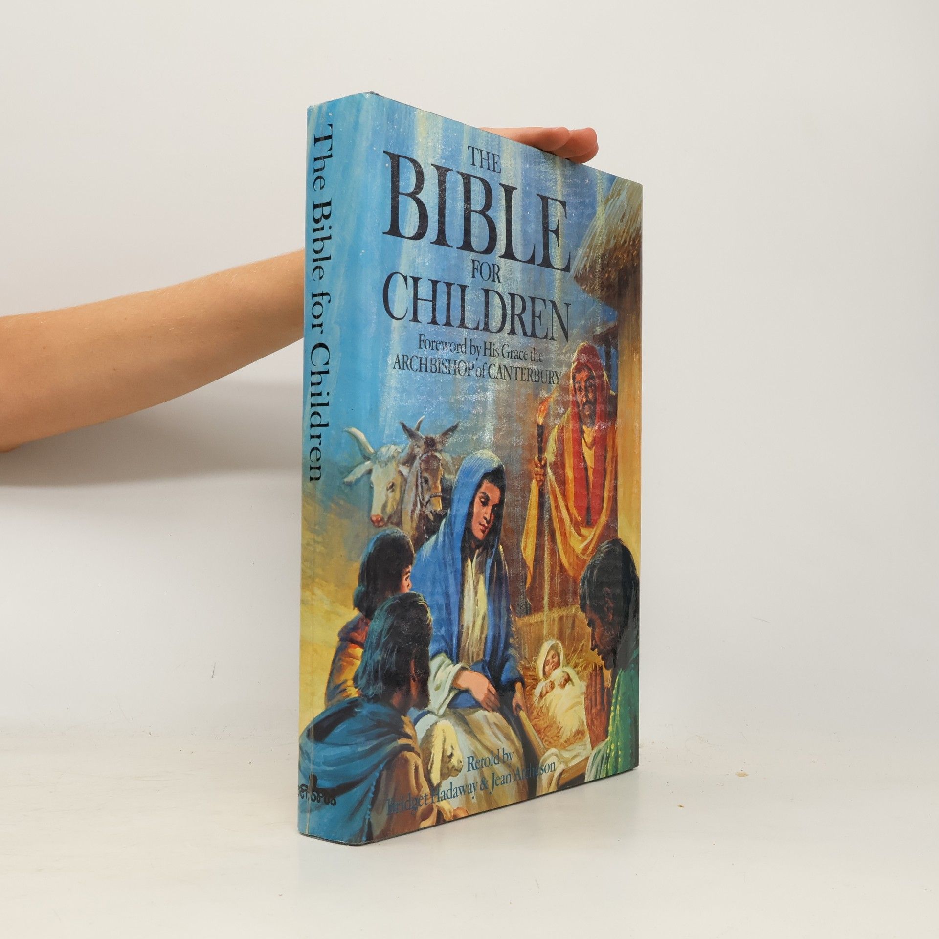 Bridget Hadaway The Bible for Children
