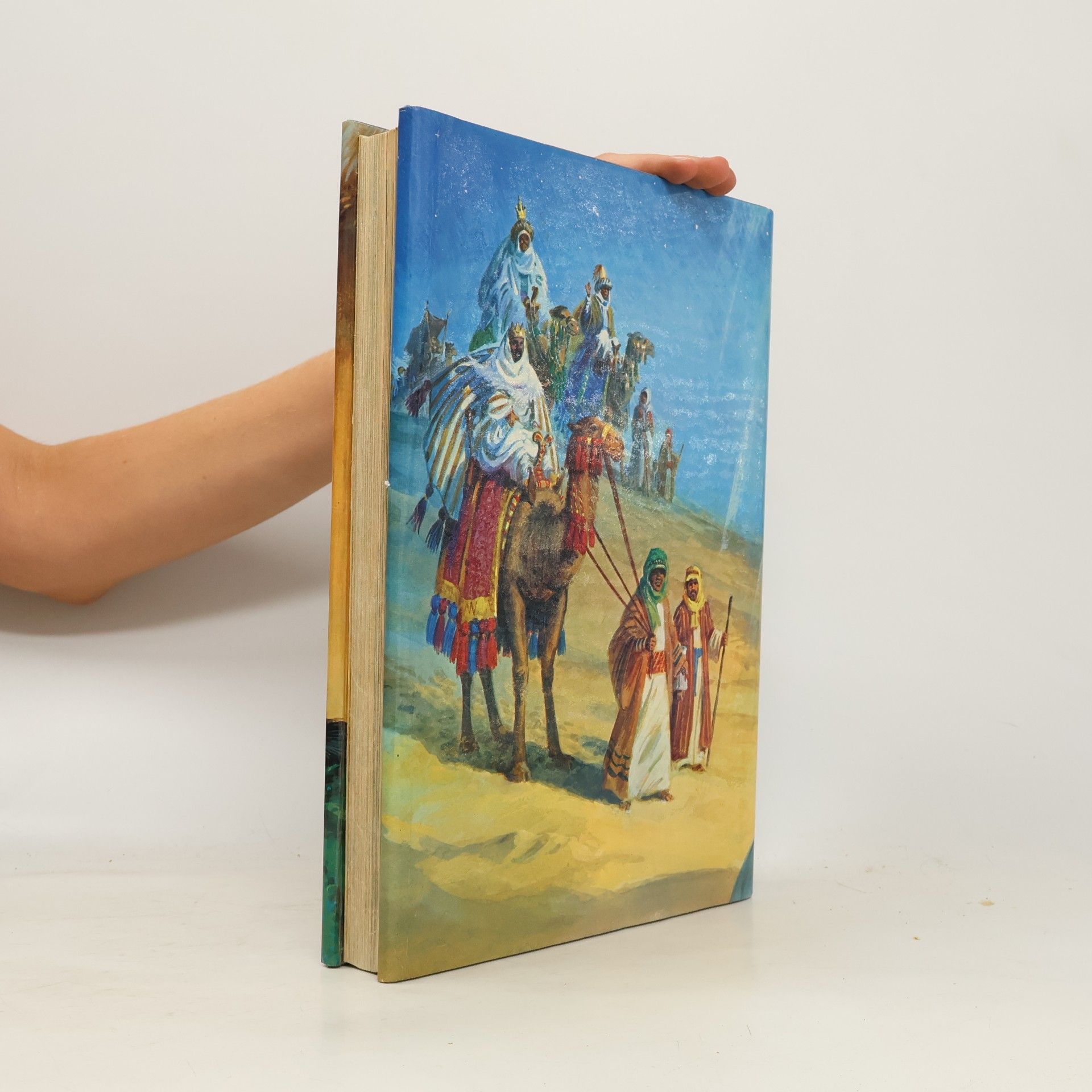 Bridget Hadaway The Bible for Children