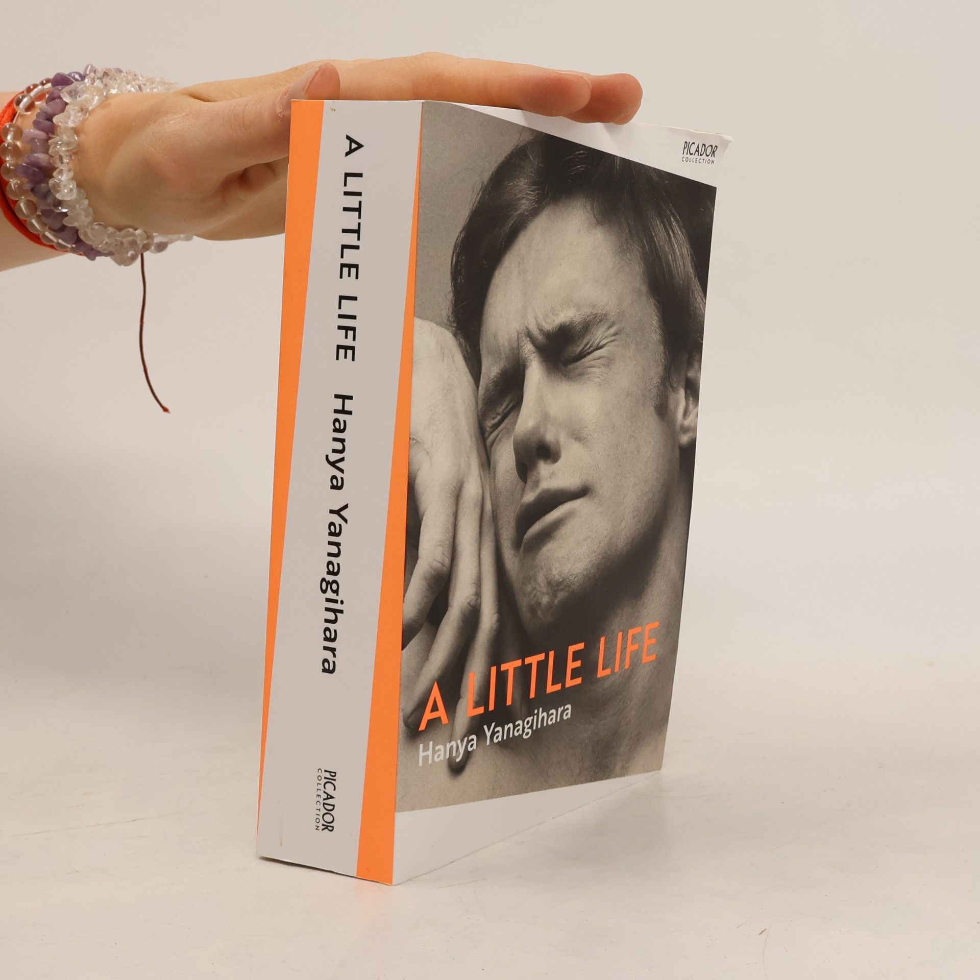 Hanya Yanagihara A Little Life