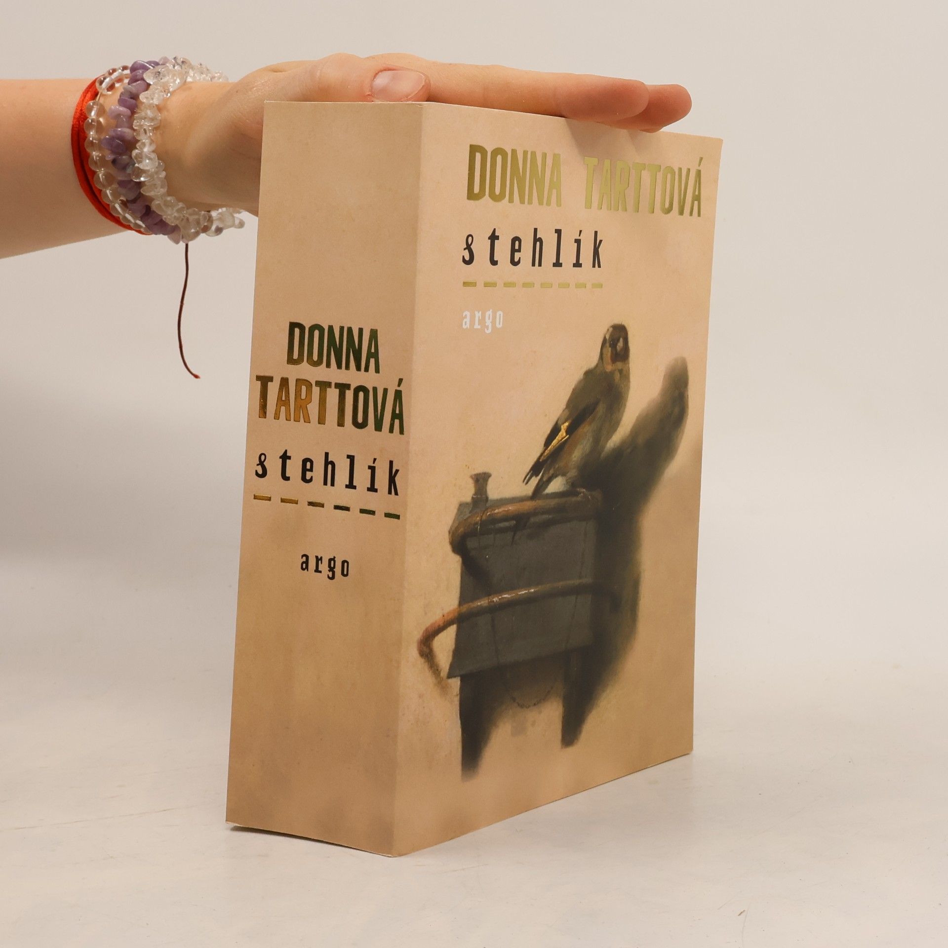 Donna Tartt Stehlík