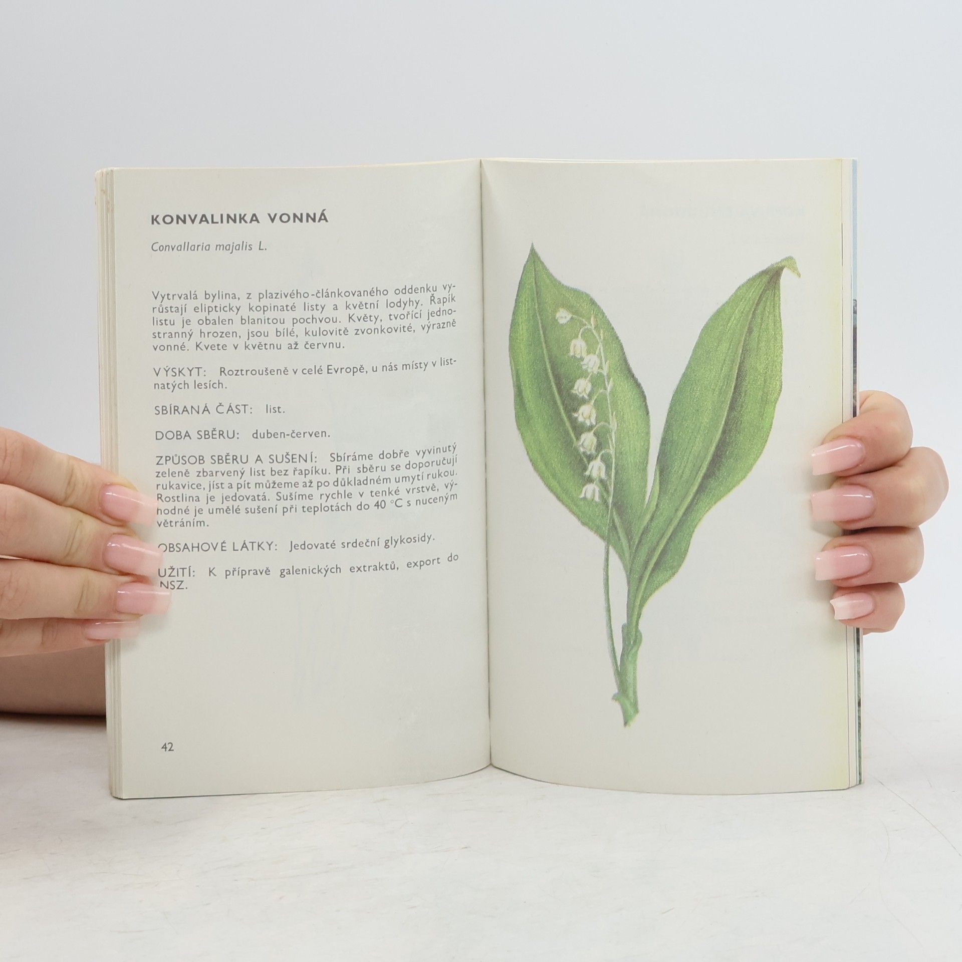 Ludmila Černá Malý herbář léčivých rostlin