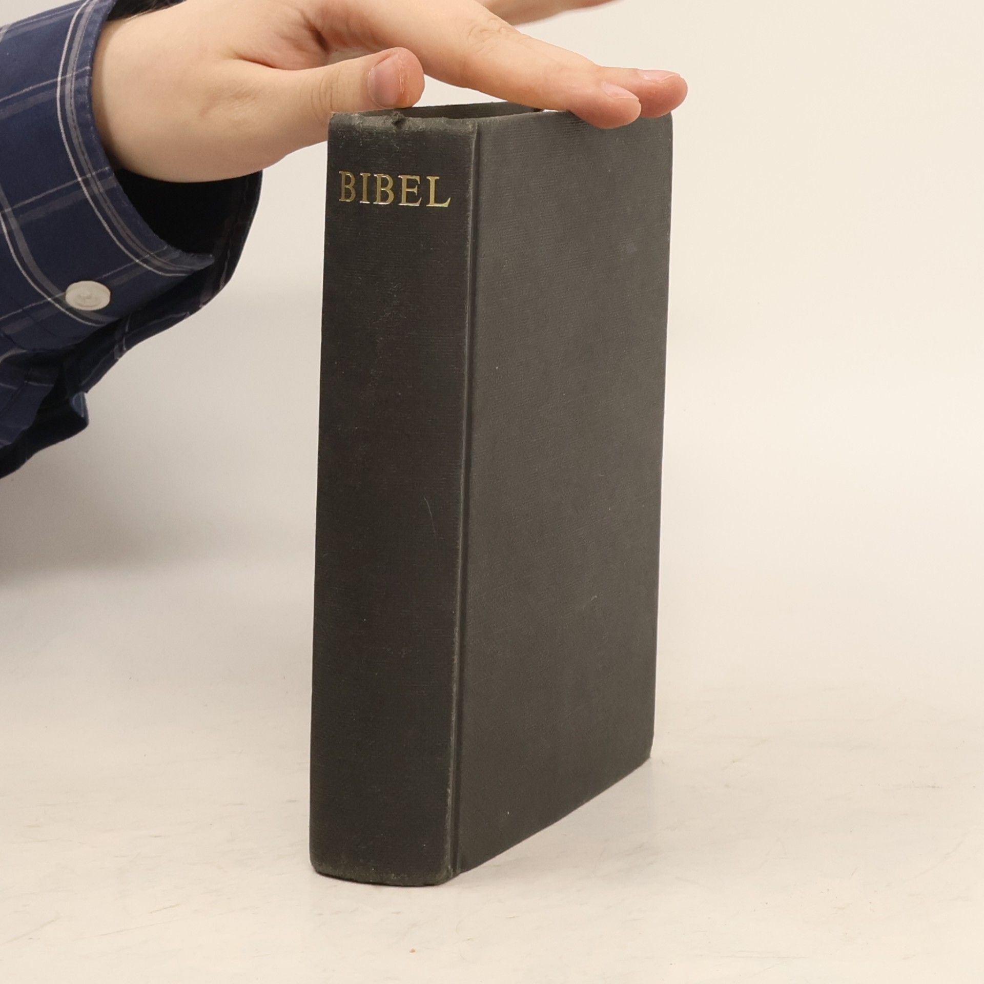 Martin Luther Die Bibel