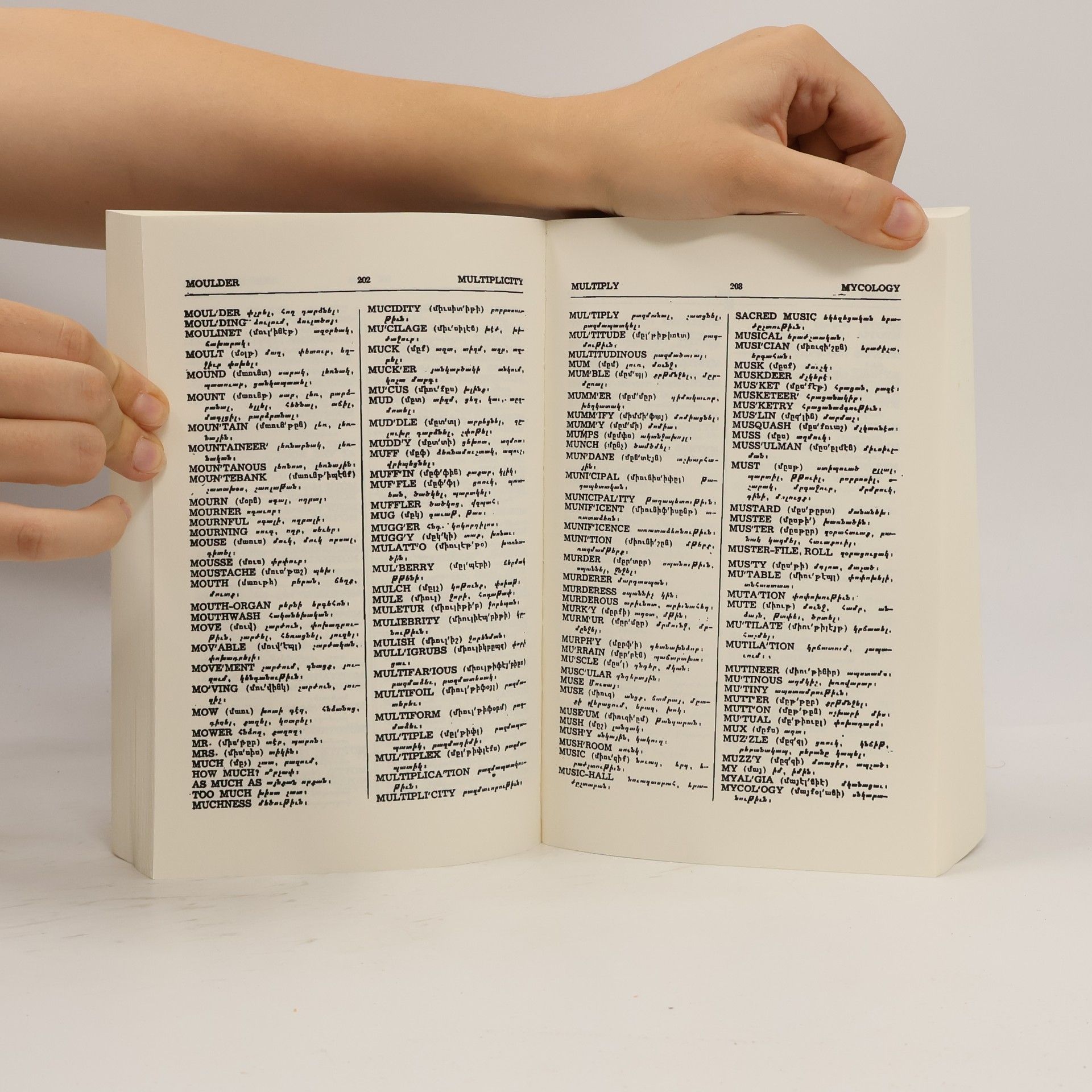 Grigo Chyukyurian English-Armenian Armenian-English Dictionary