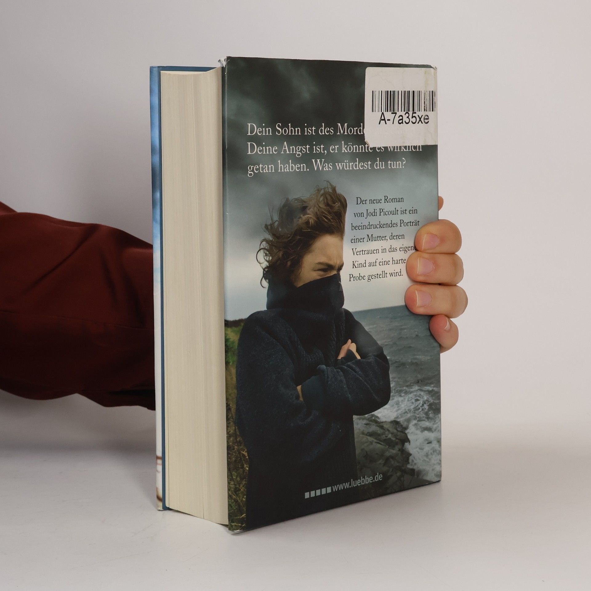 Jodi Picoult In den Augen der anderen