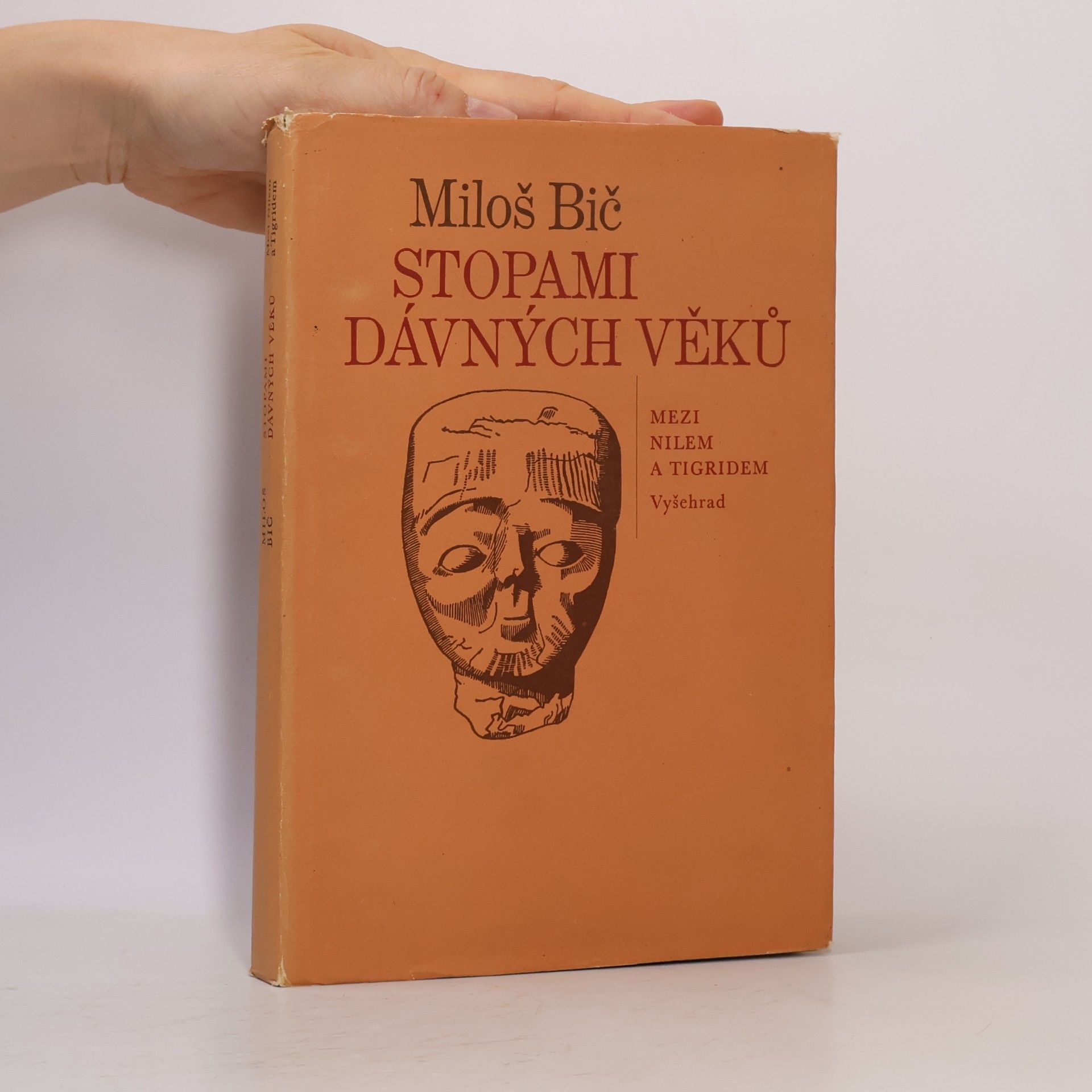 Vladimír Vokálek Stopami dávných věků