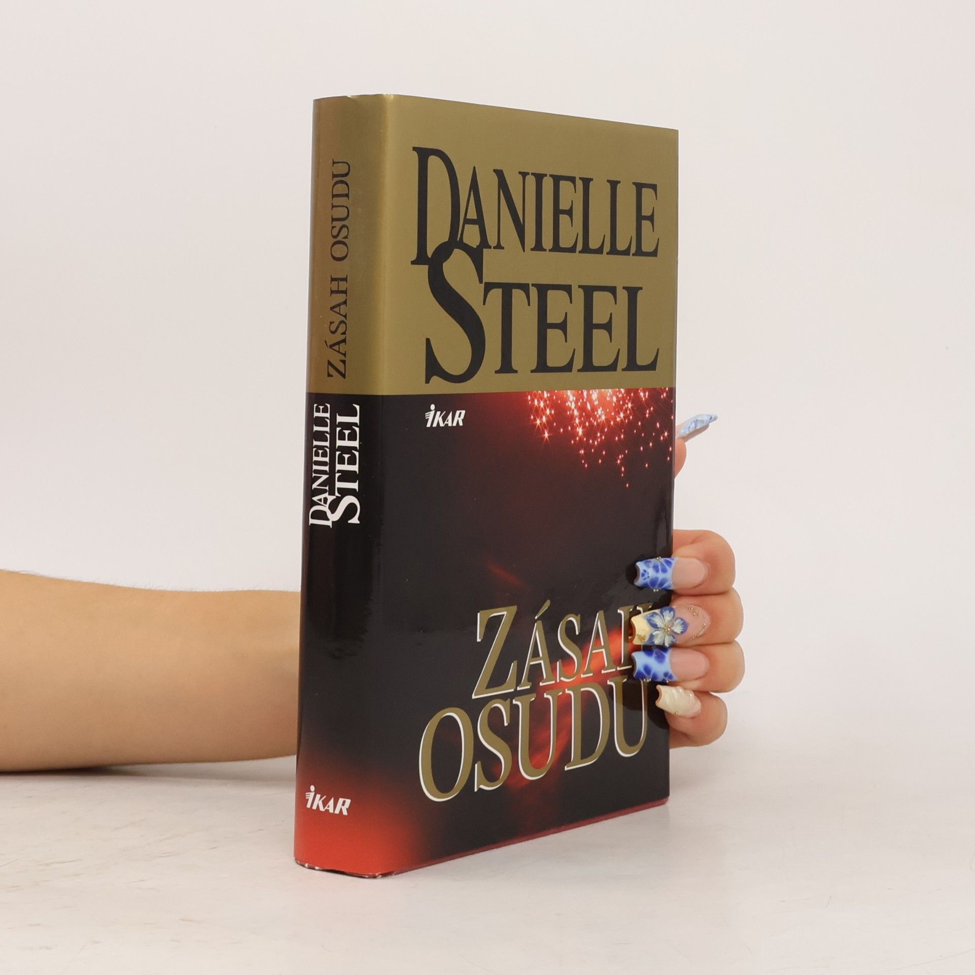 Danielle Steel Zásah osudu