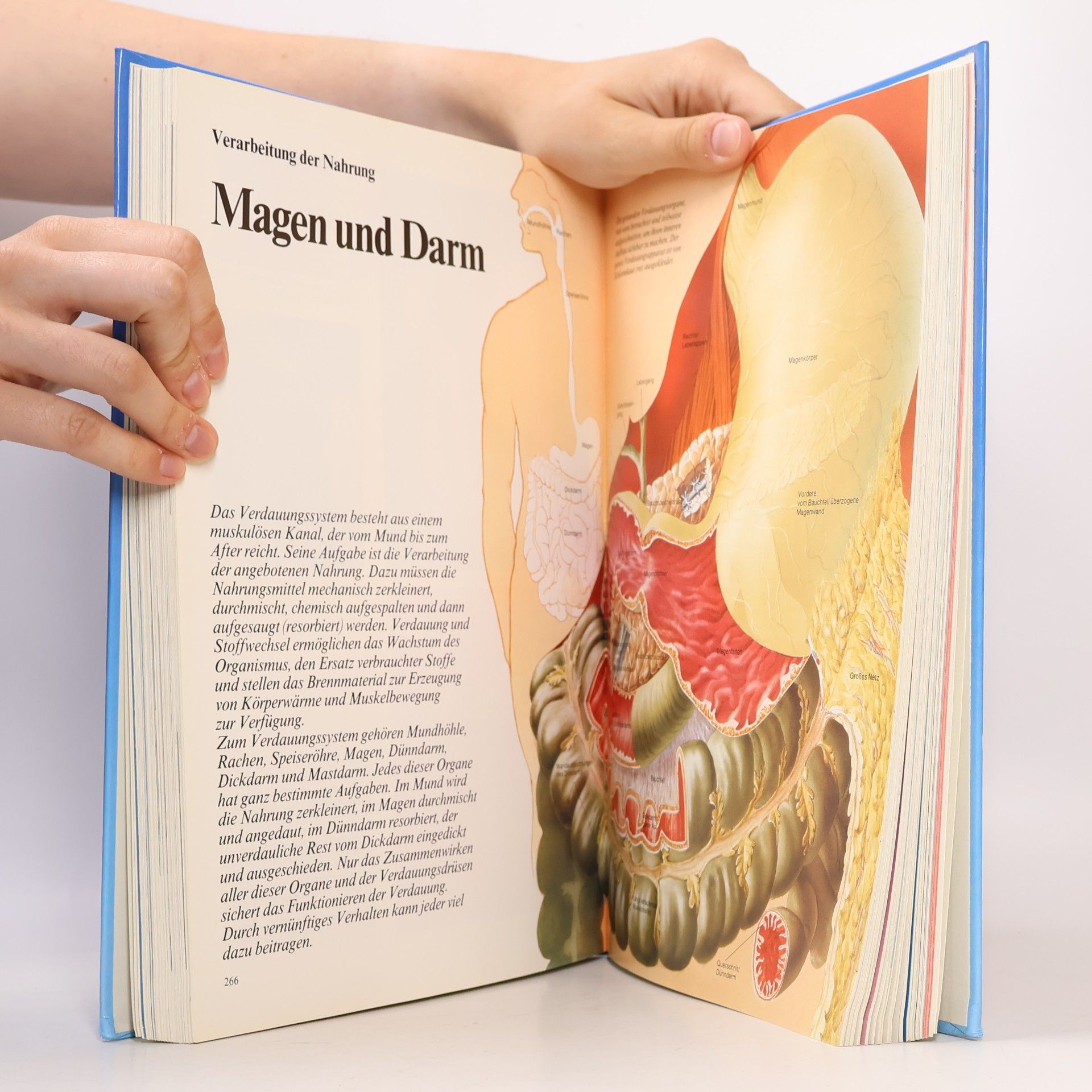 Hans Halter Das grosse ADAC-Gesundheitsbuch