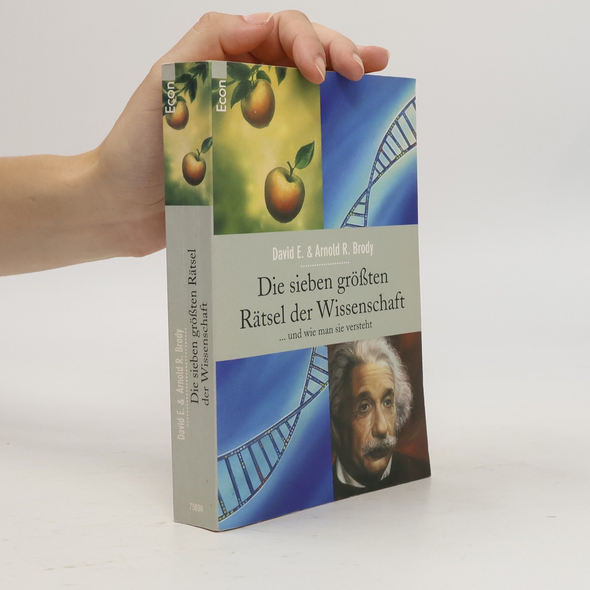 David E. Brody Die sieben größten Rätsel der Wissenschaft
