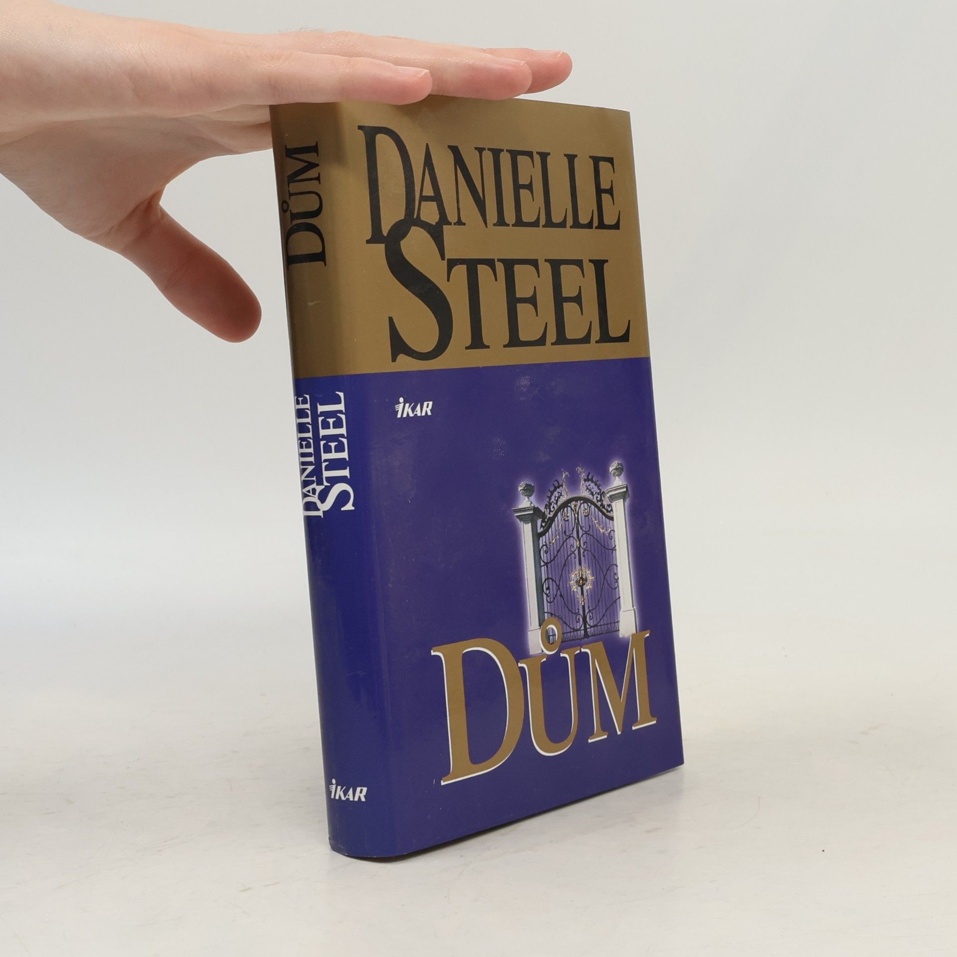 Danielle Steel Dům