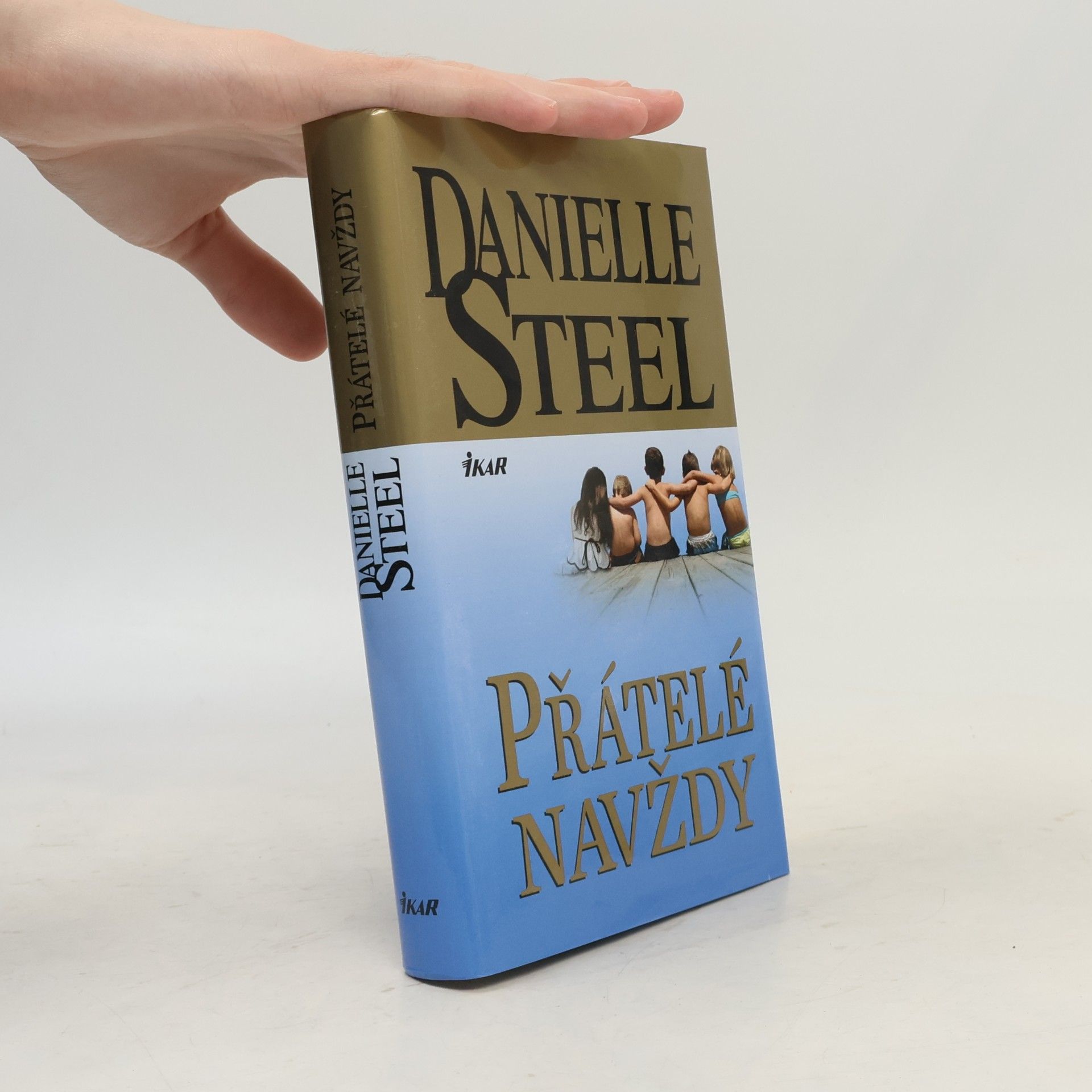 Danielle Steel Přátelé navždy