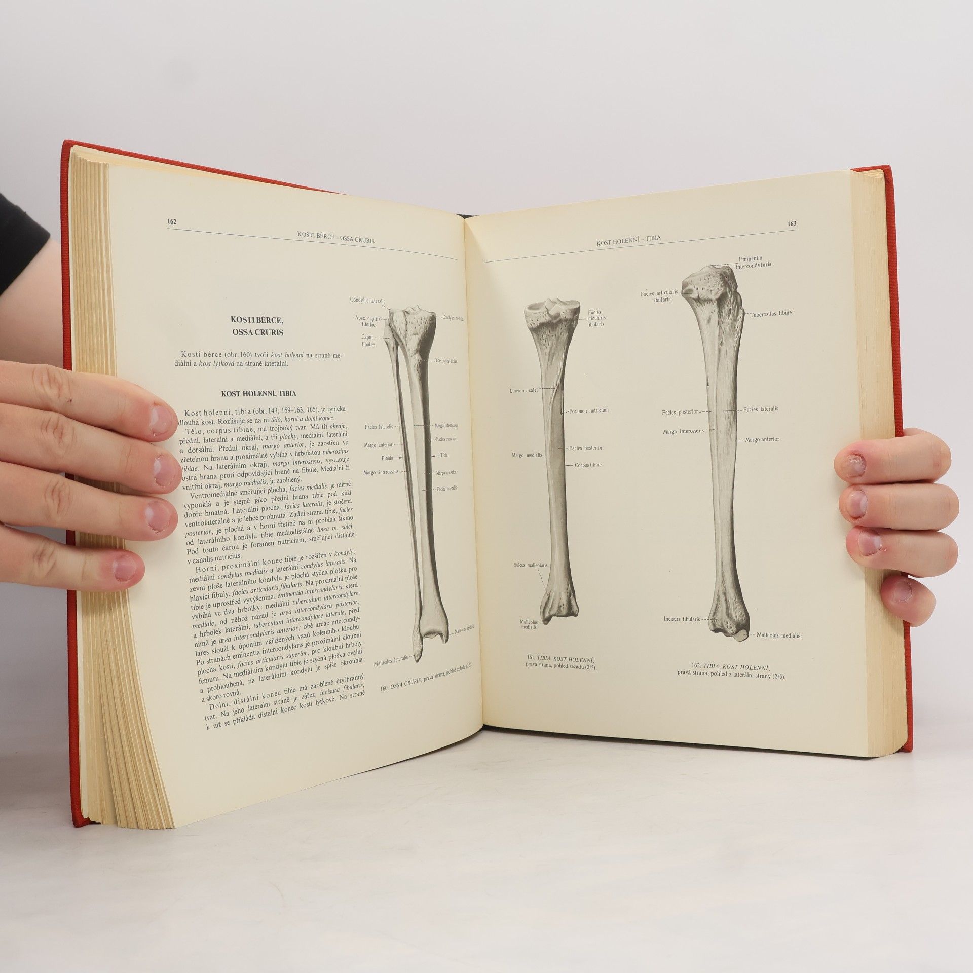 R. D. Sinělnikov Atlas anatomie člověka I. díl