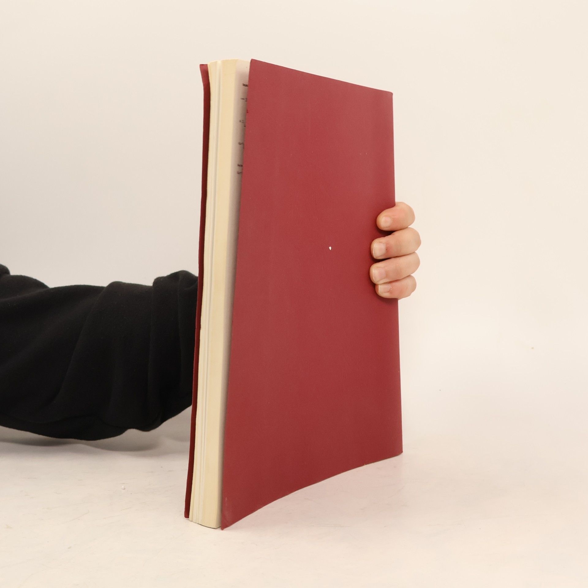kolektiv Die Neumann Familien im Weltbuch