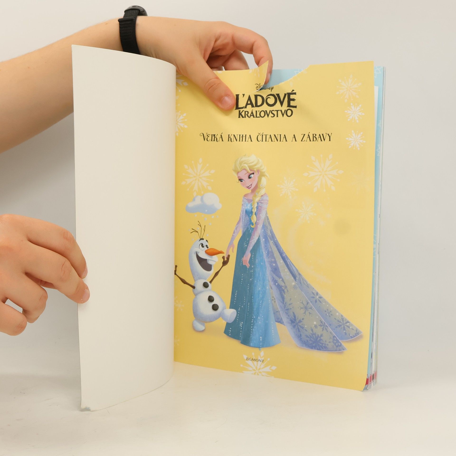 Kolektív autorov Ľadové kráľovstvo : veľká kniha čítania a zábavy