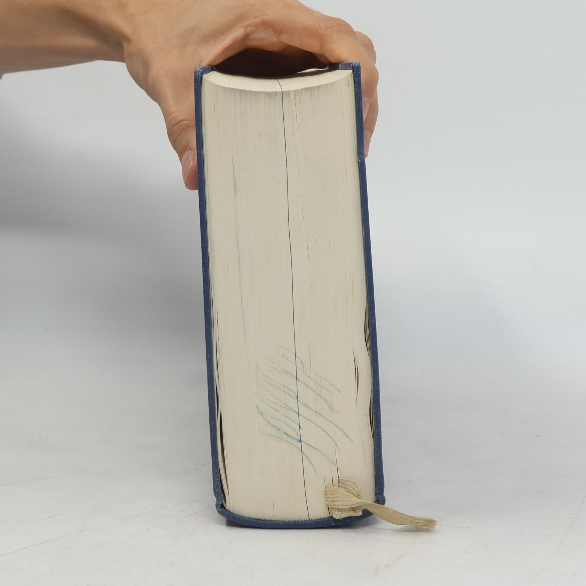 Herbert Schöffler PONS Großwörterbuch
