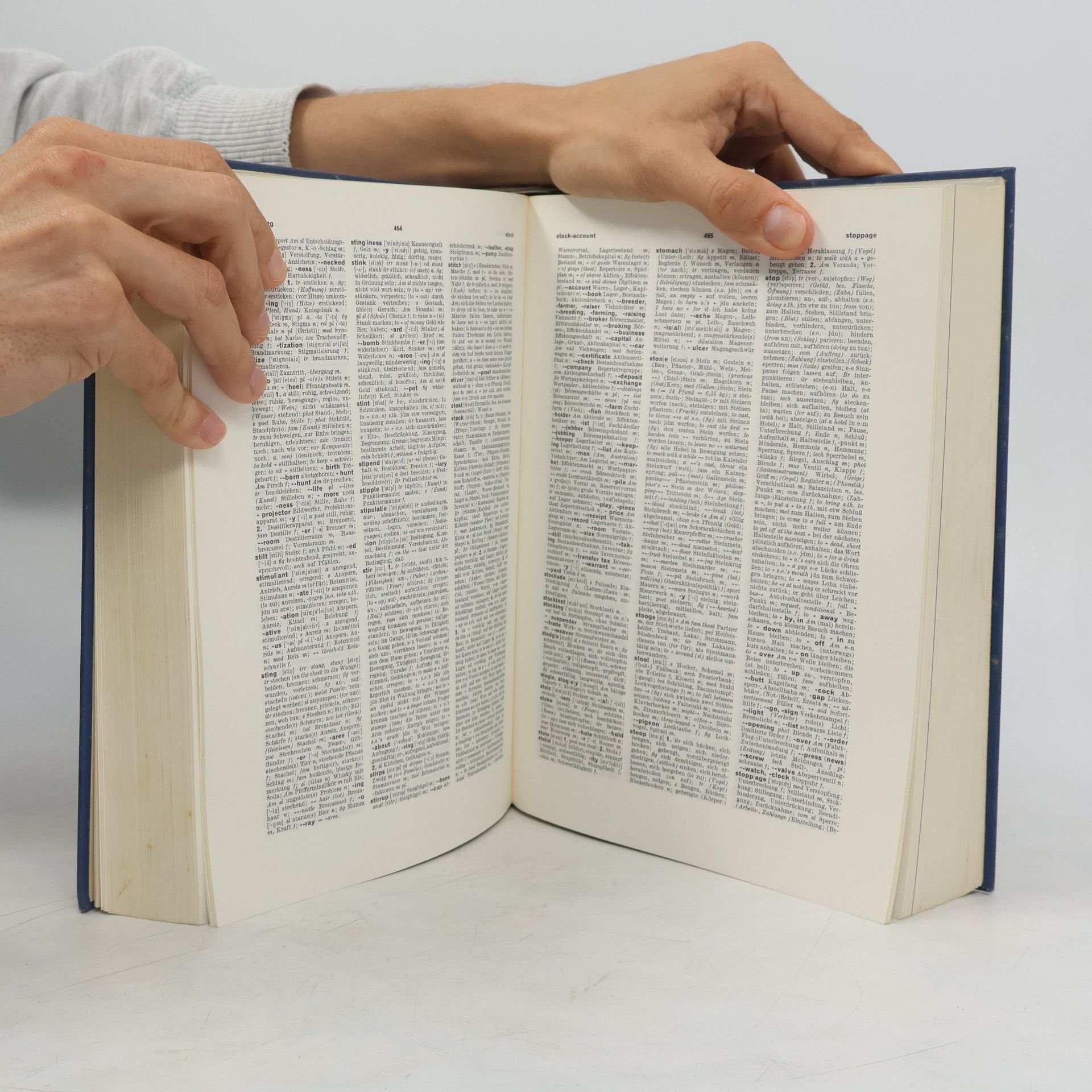 Herbert Schöffler PONS Großwörterbuch