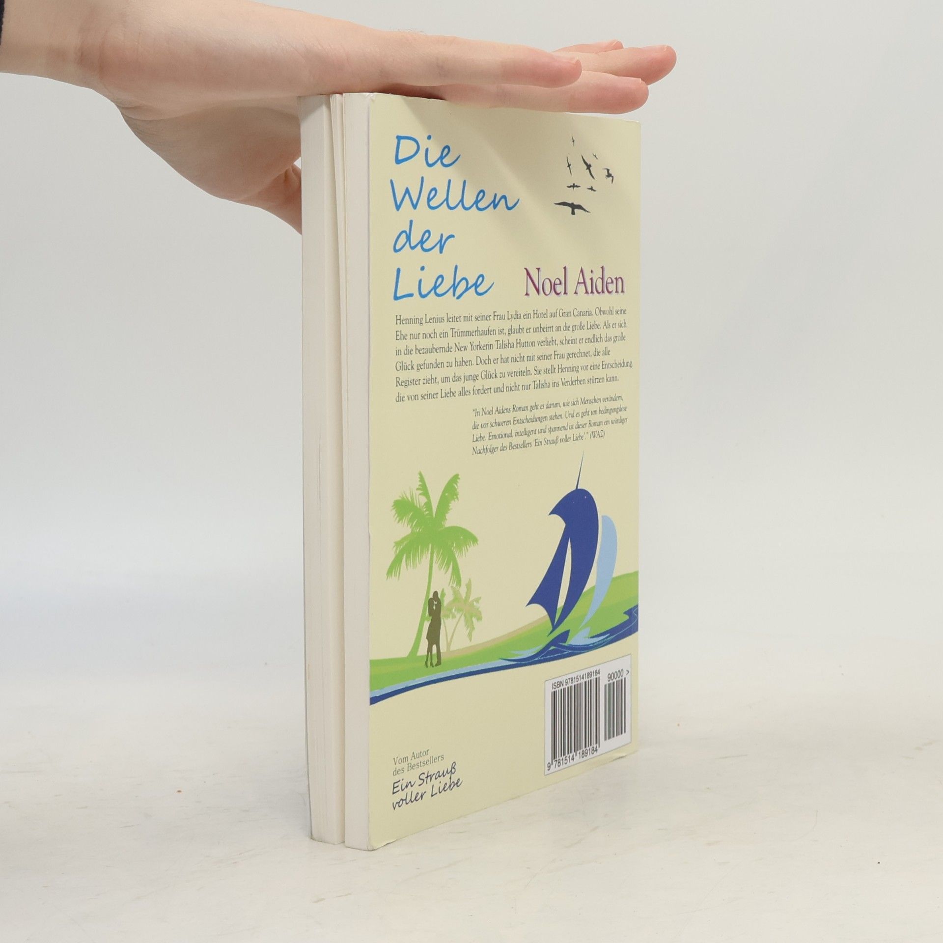 Noel Aiden Die Wellen der Liebe