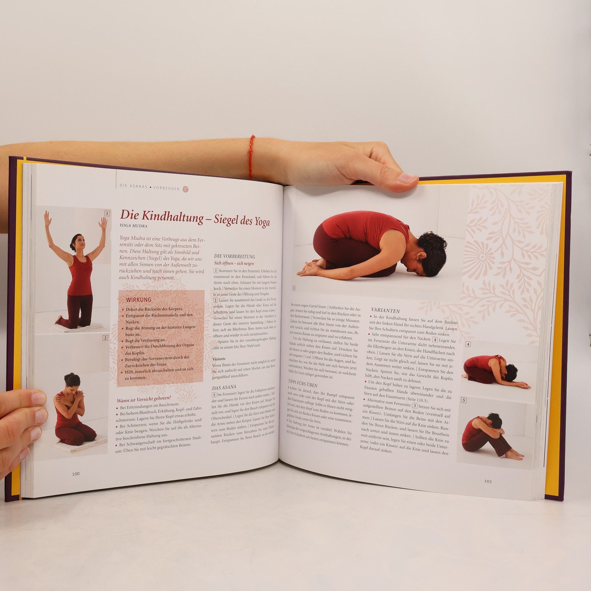Anna Trökes Das große Yoga-Buch
