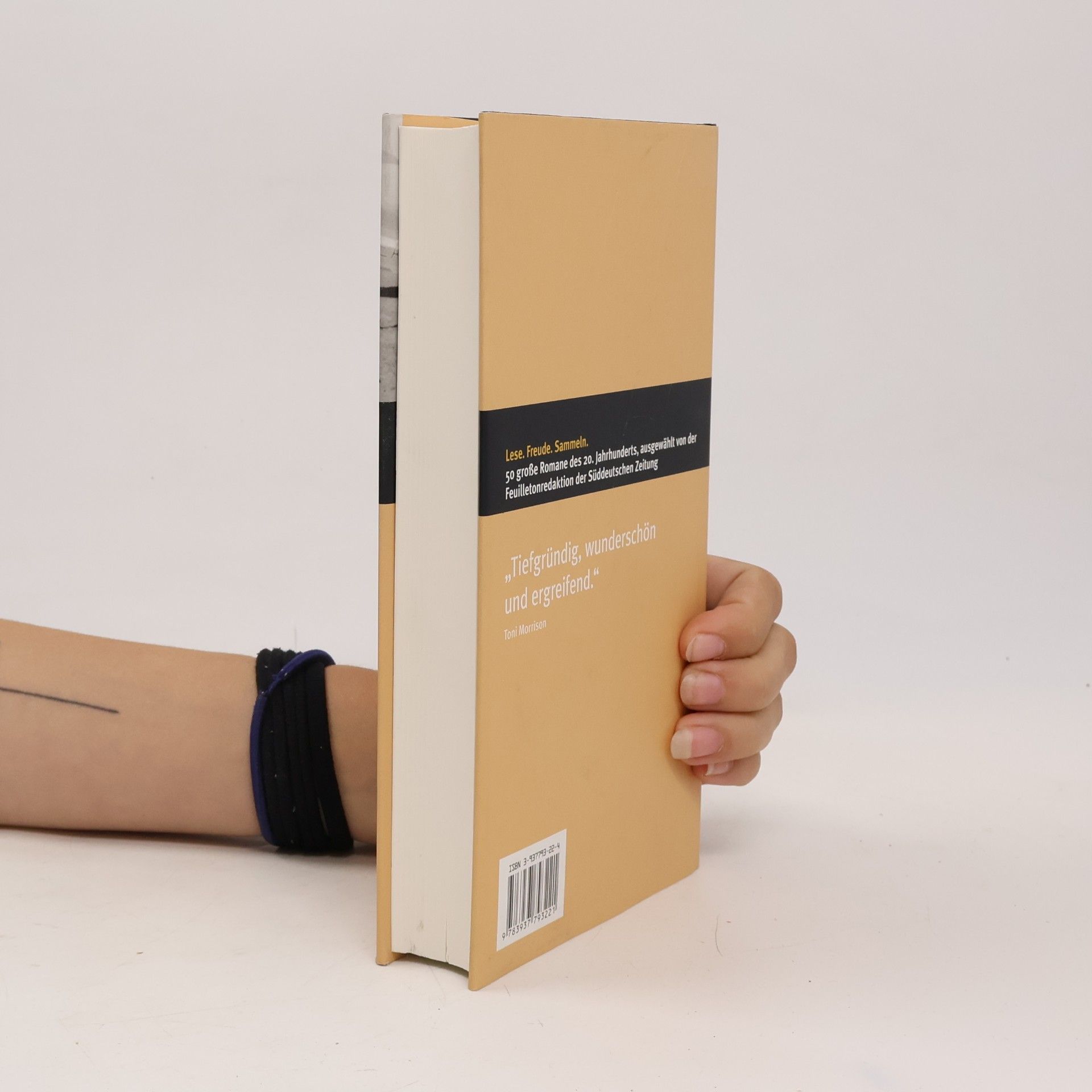 Michael Ondaatje Der englische Patient