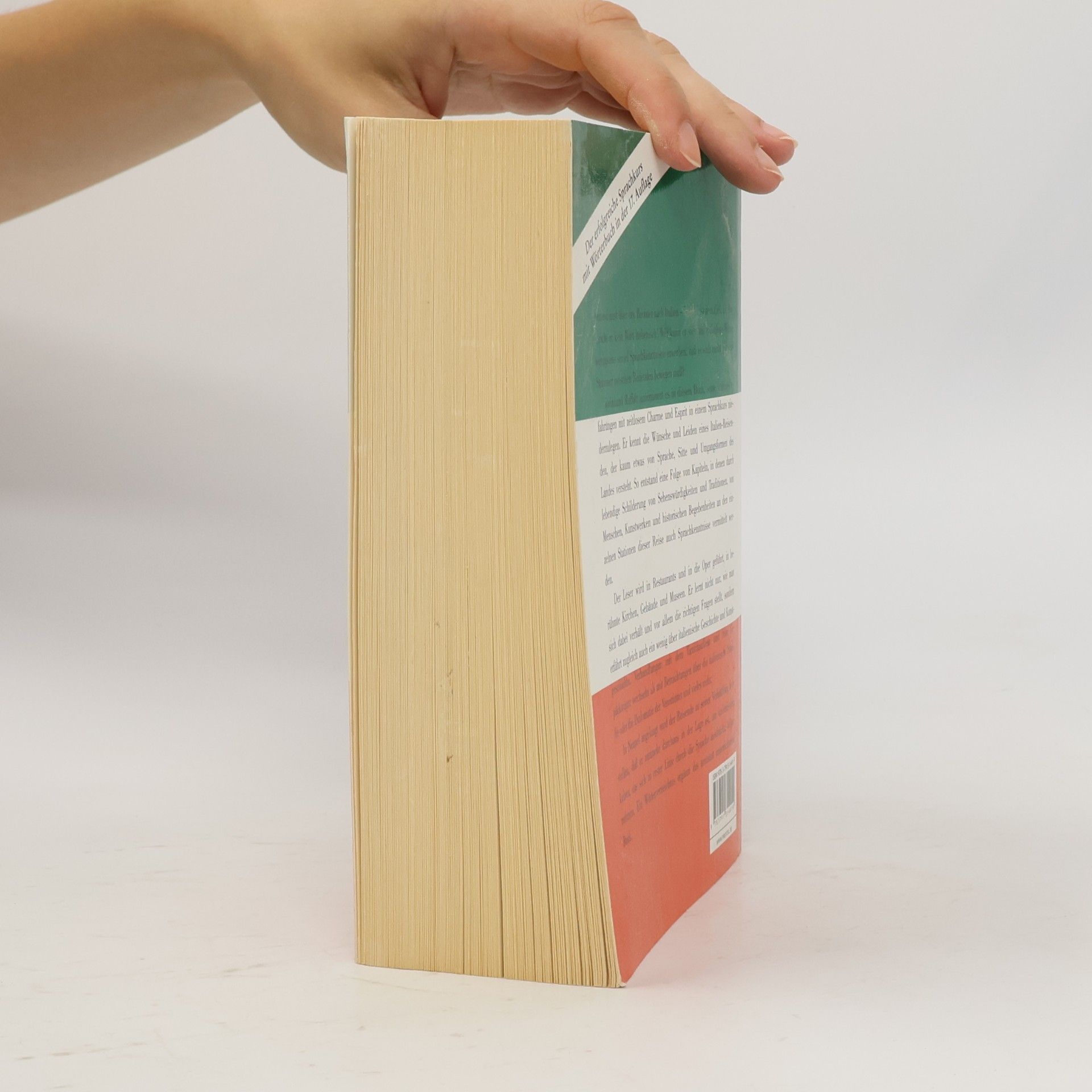 Raffalt Reinhard Eine Reise nach Neapel ... e parlare italiano