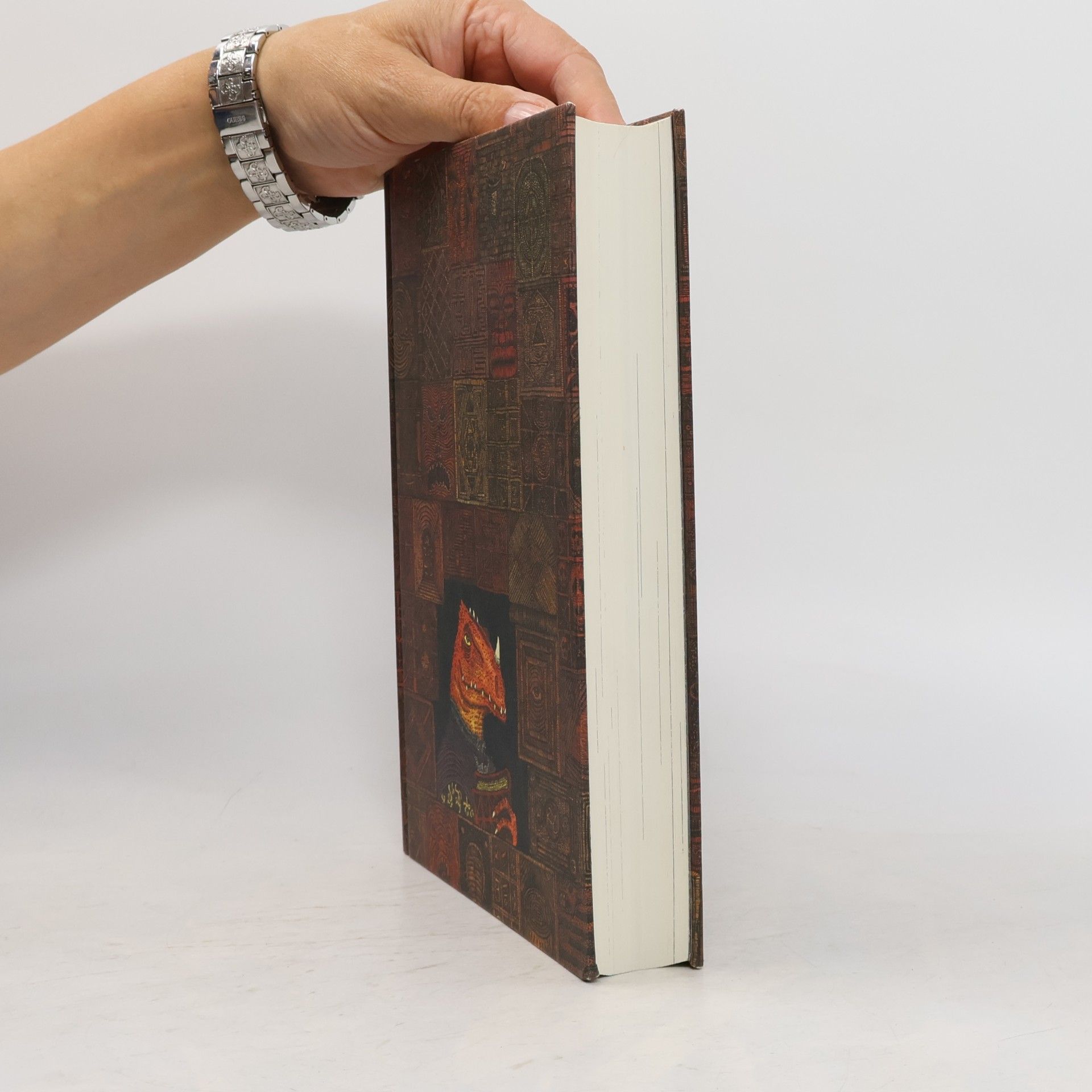 Walter Moers Das Labyrinth der Träumenden Bücher