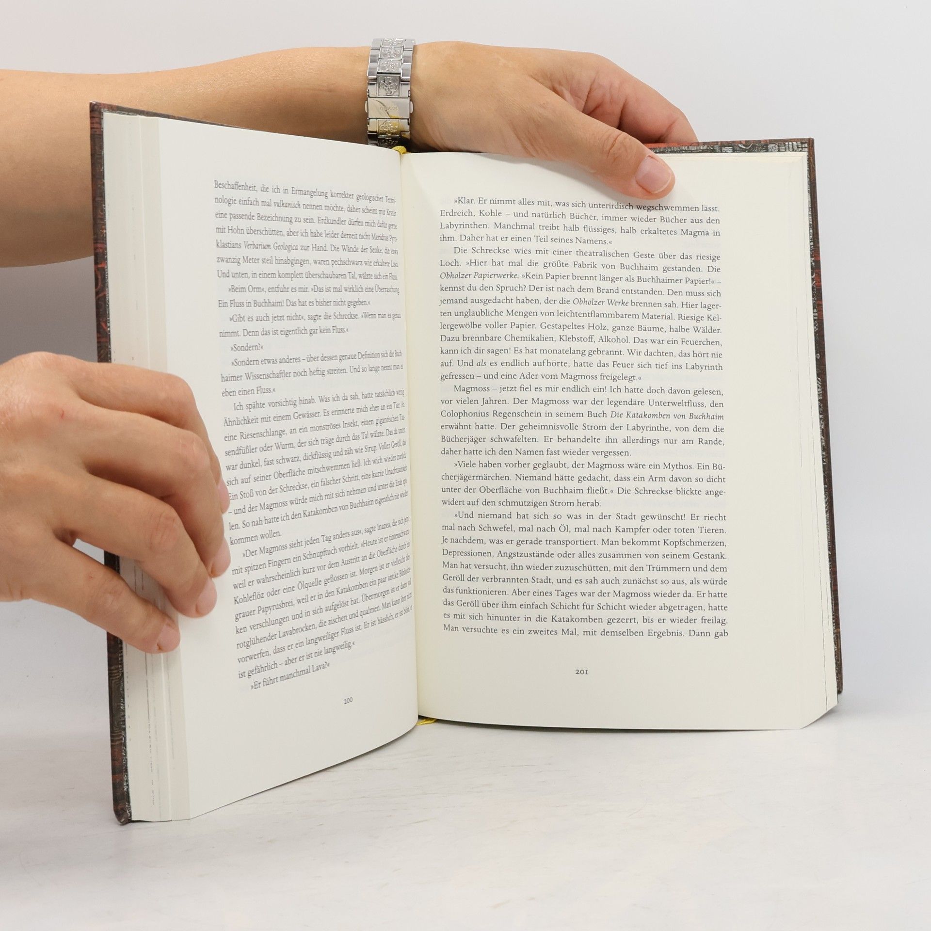 Walter Moers Das Labyrinth der Träumenden Bücher
