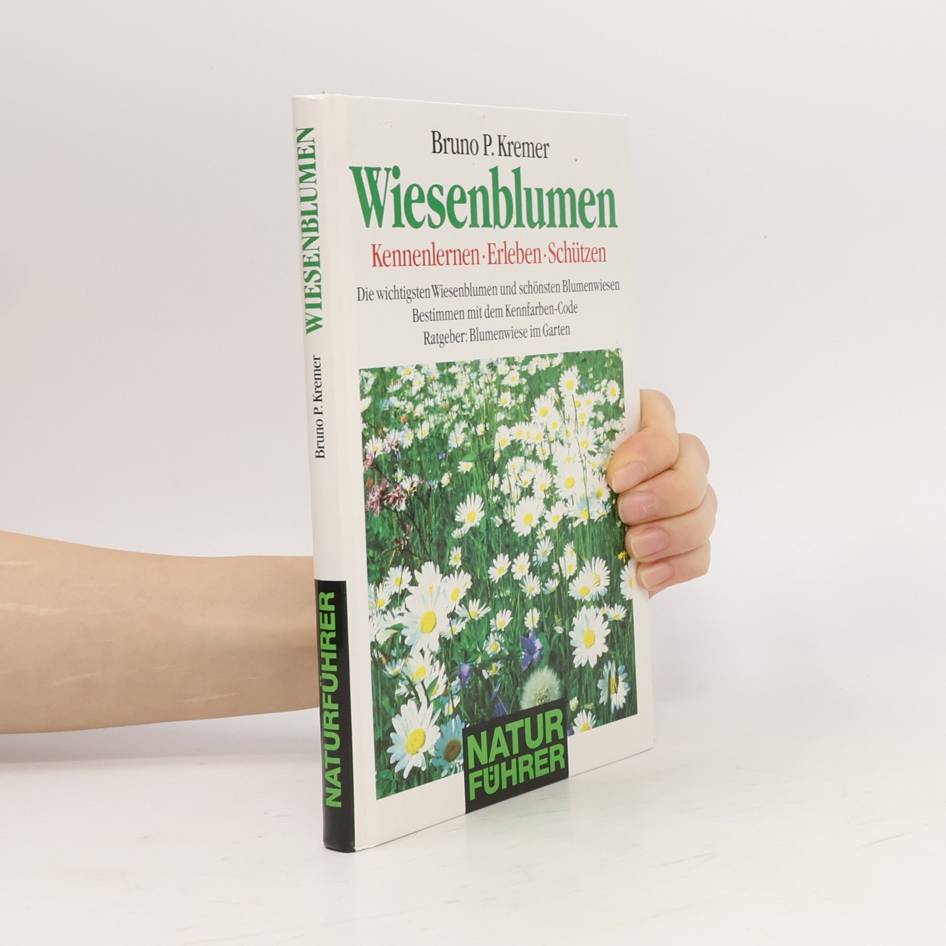 Bruno Kremer Wiesenblumen
