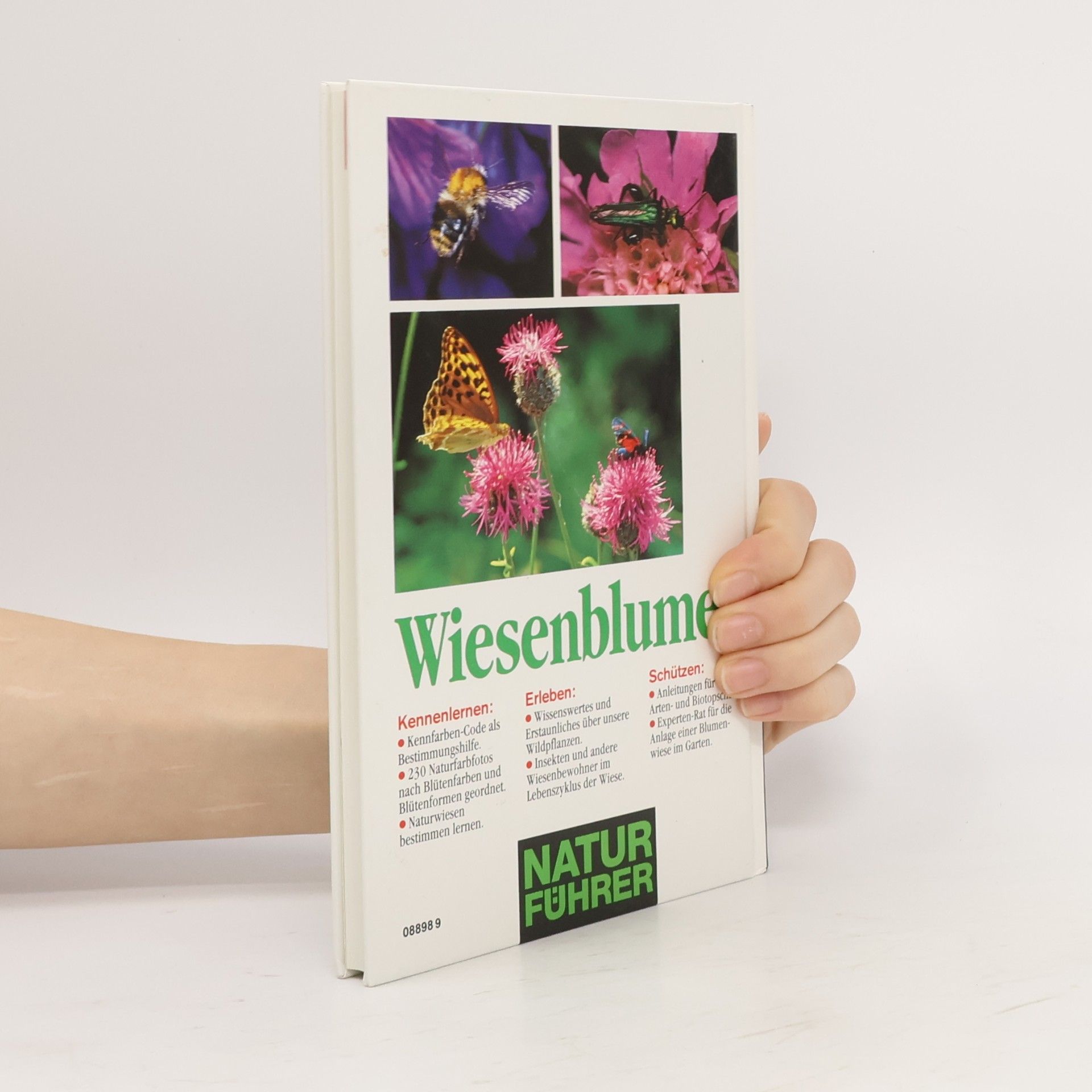 Bruno P. Kremer Wiesenblumen