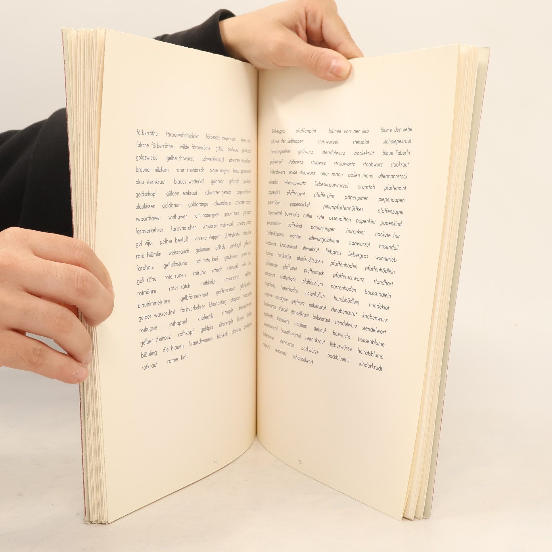 Autorenkollektiv Liber Maister S