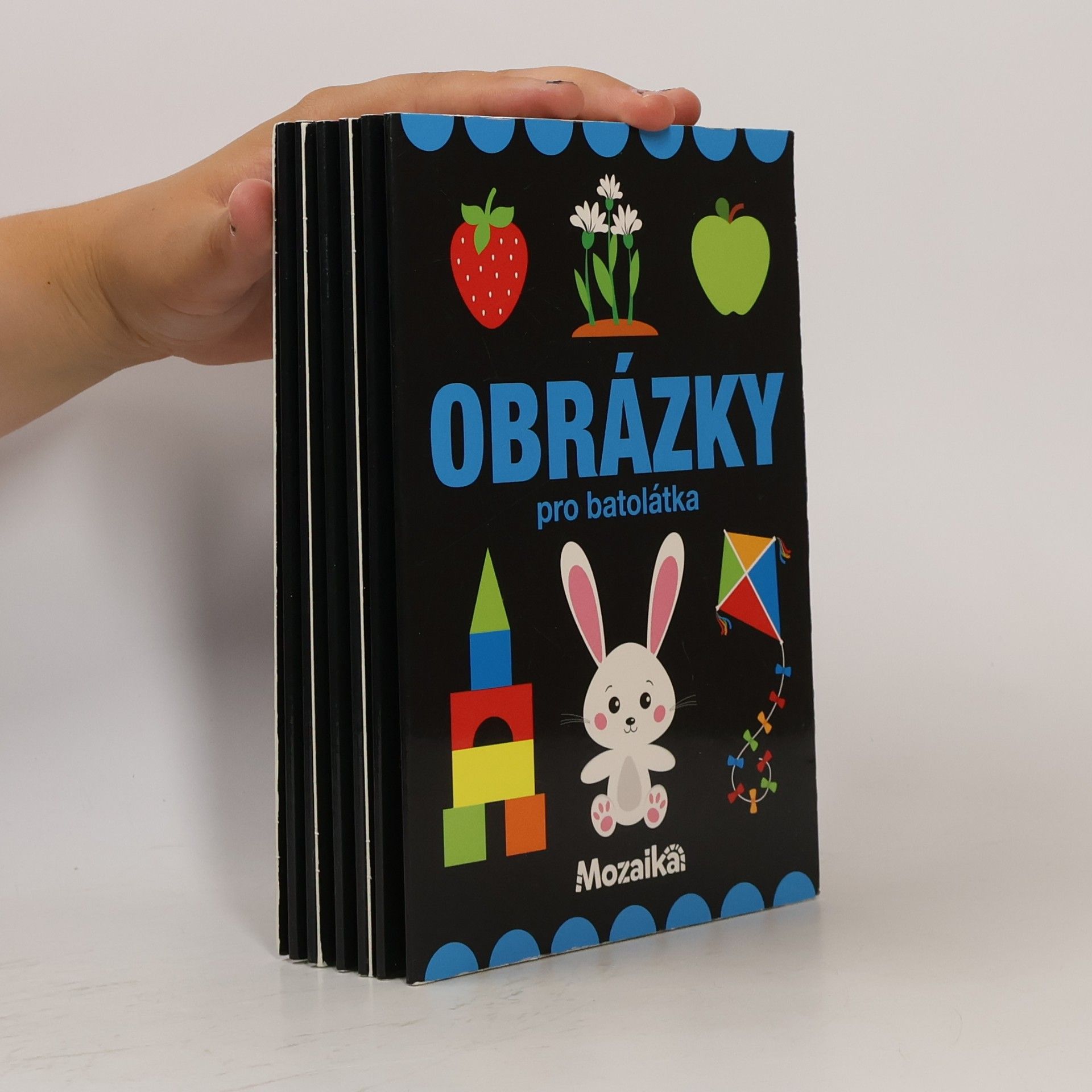 Kolektiv autorů Obrázky pro batolátka