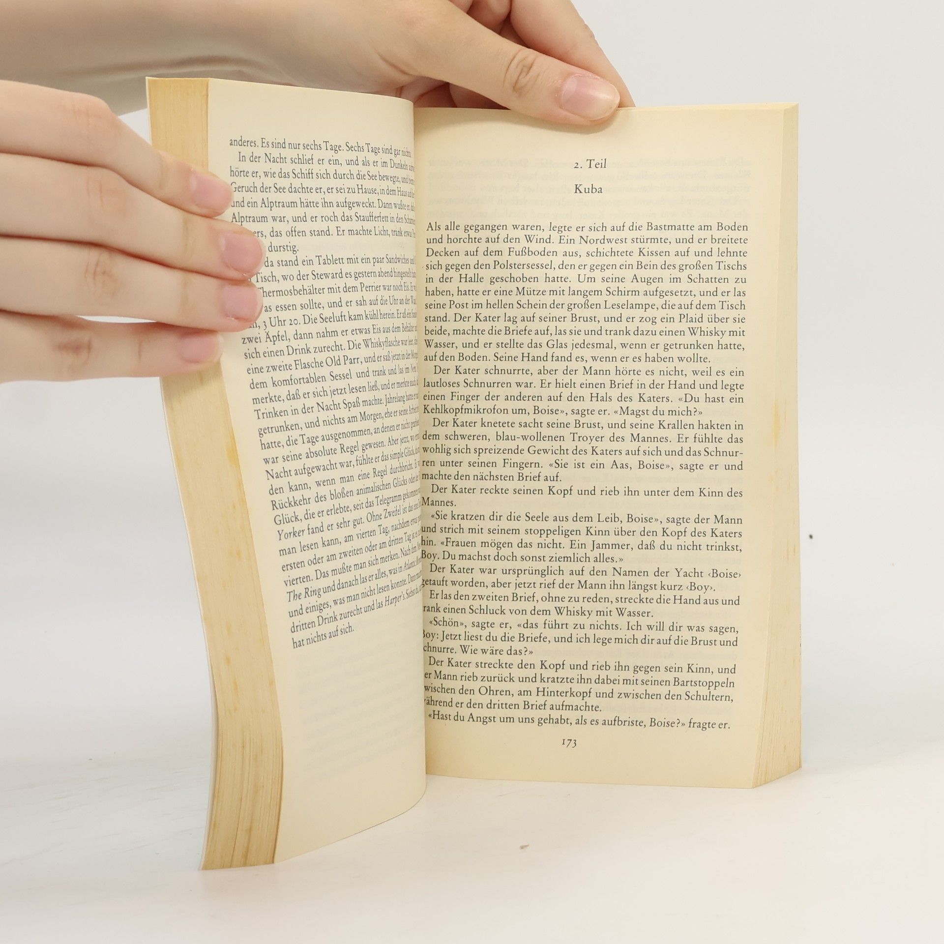 Ernest Hemingway Gesammelte Werke 5