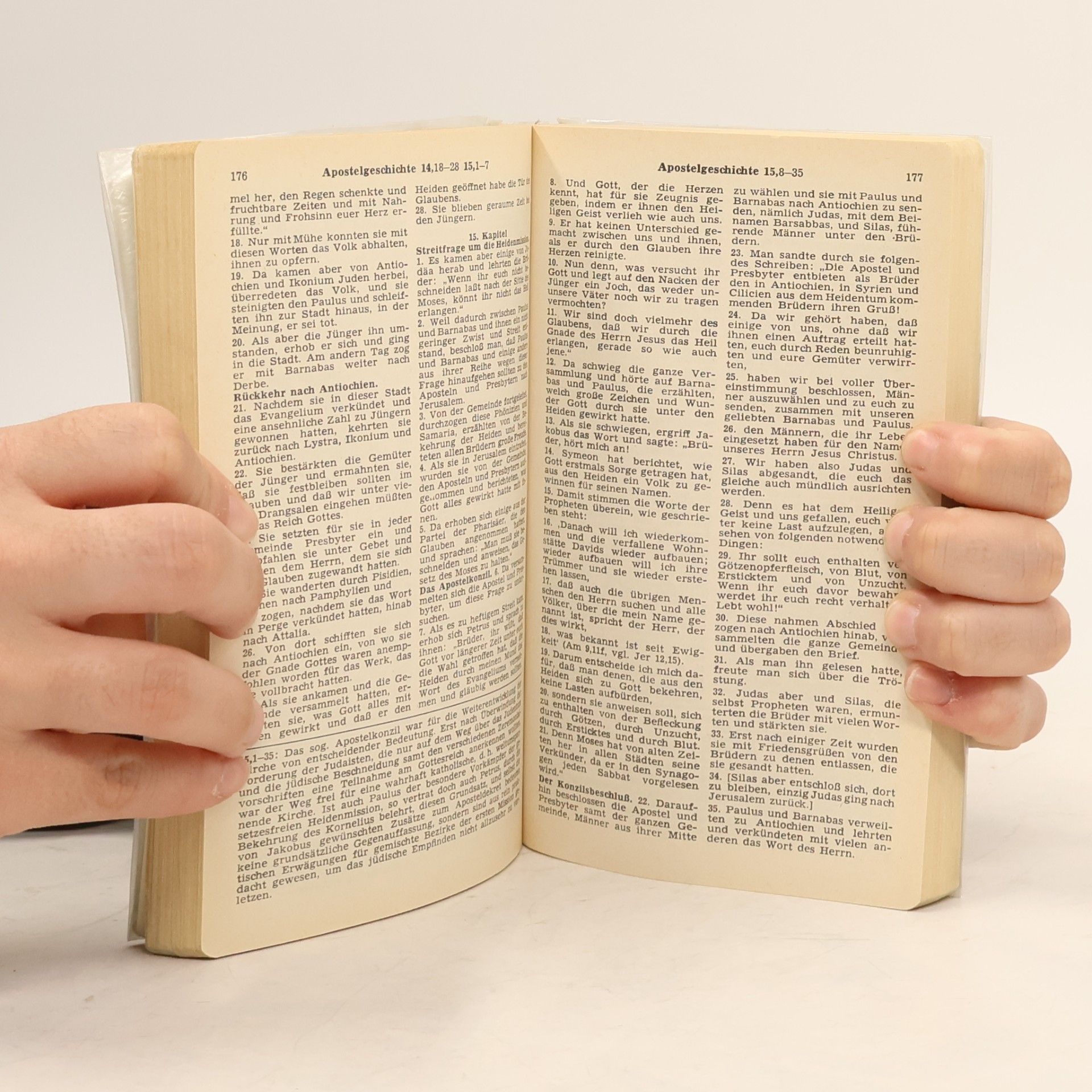 Autores varios Das Neue Testament