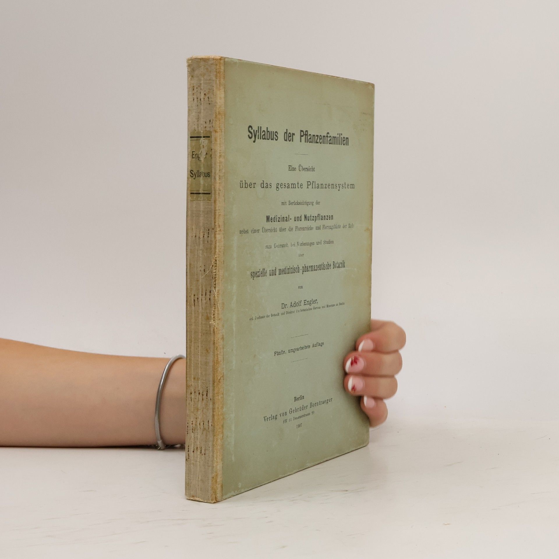 Syllabus der Pflanzenfamilien
