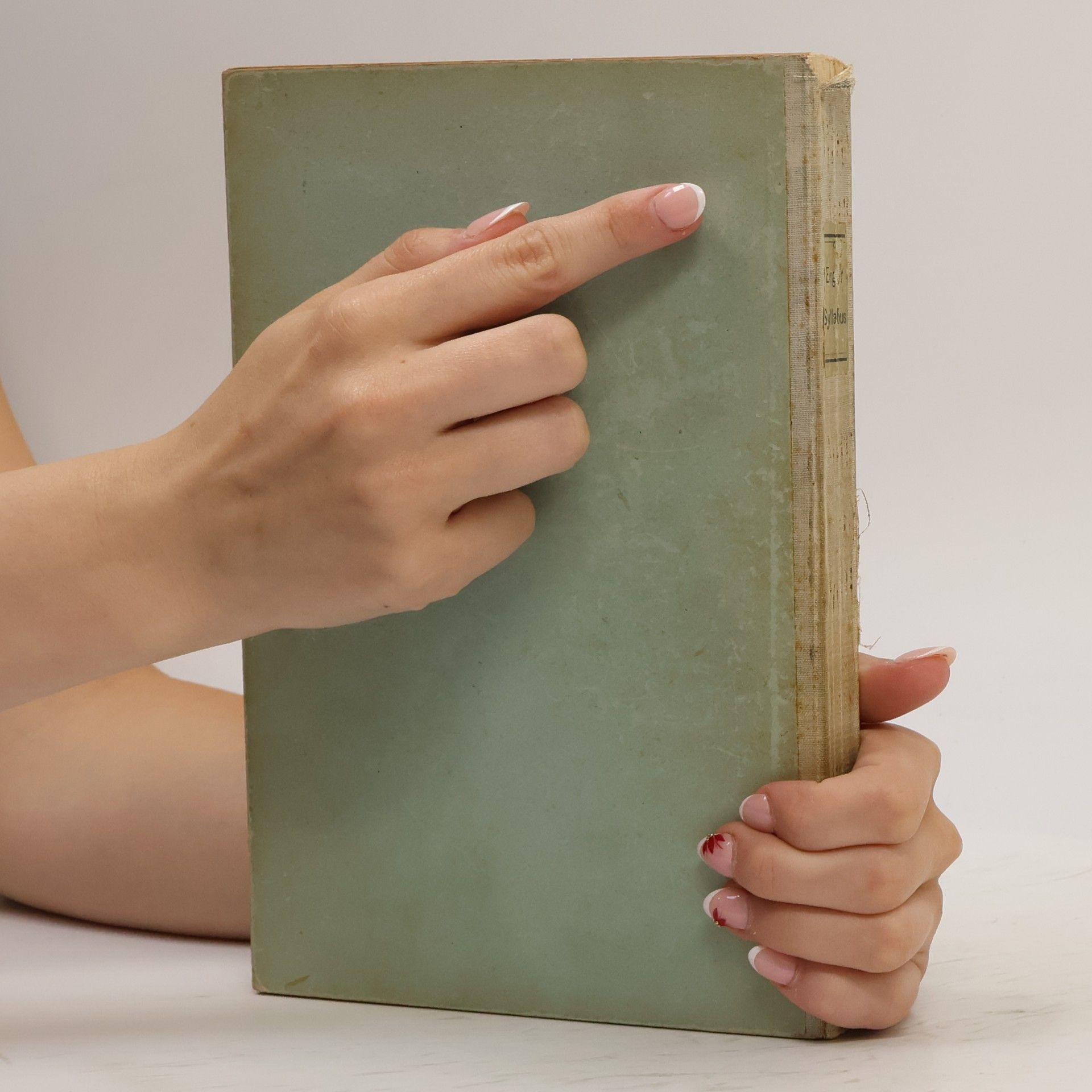 Adolf Engler Syllabus der Pflanzenfamilien
